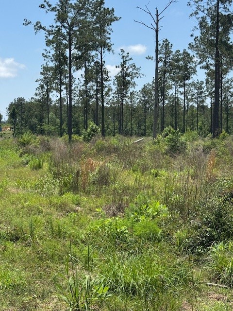Tbd 37 Reveille Road Property Photo 4