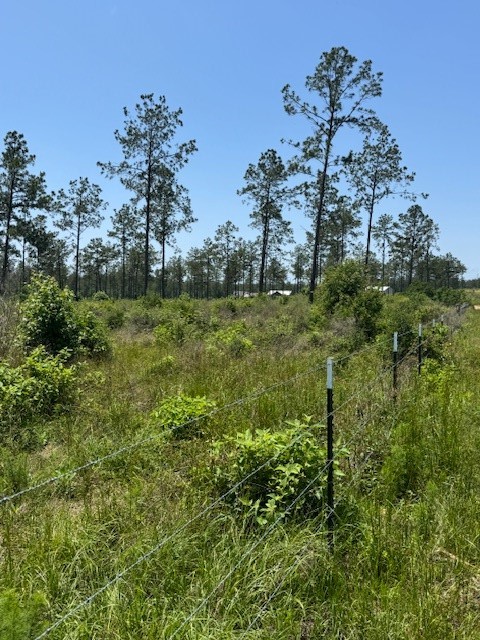 Tbd 37 Reveille Road Property Photo 5