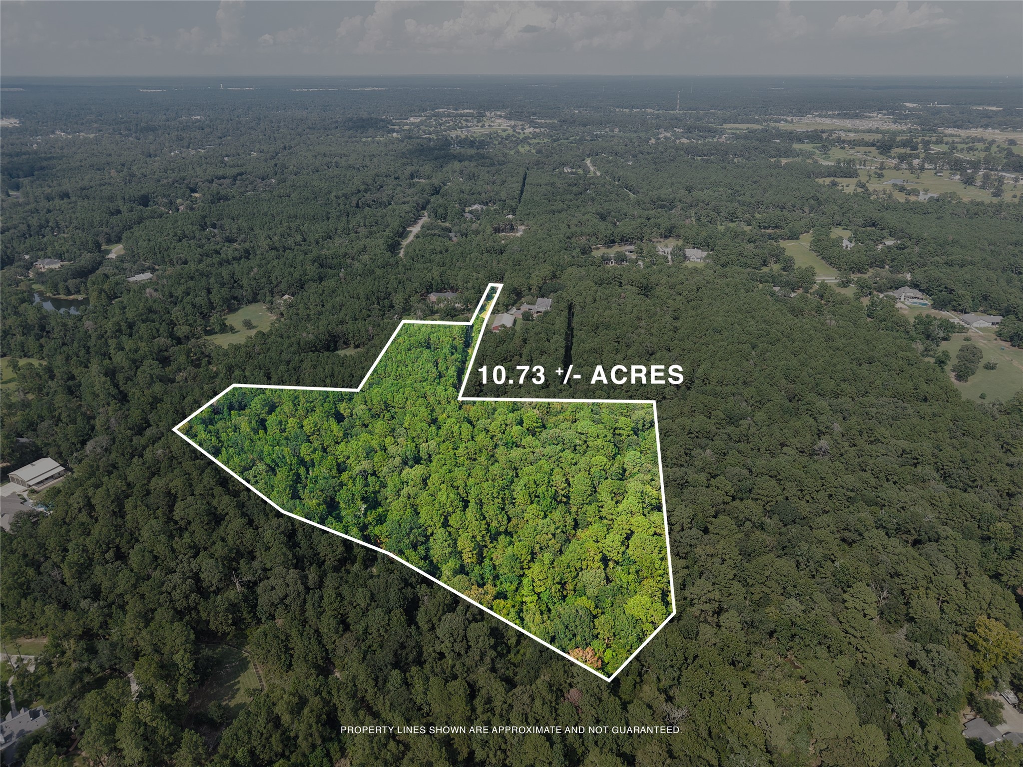 000 Whispering Meadow Property Photo 4