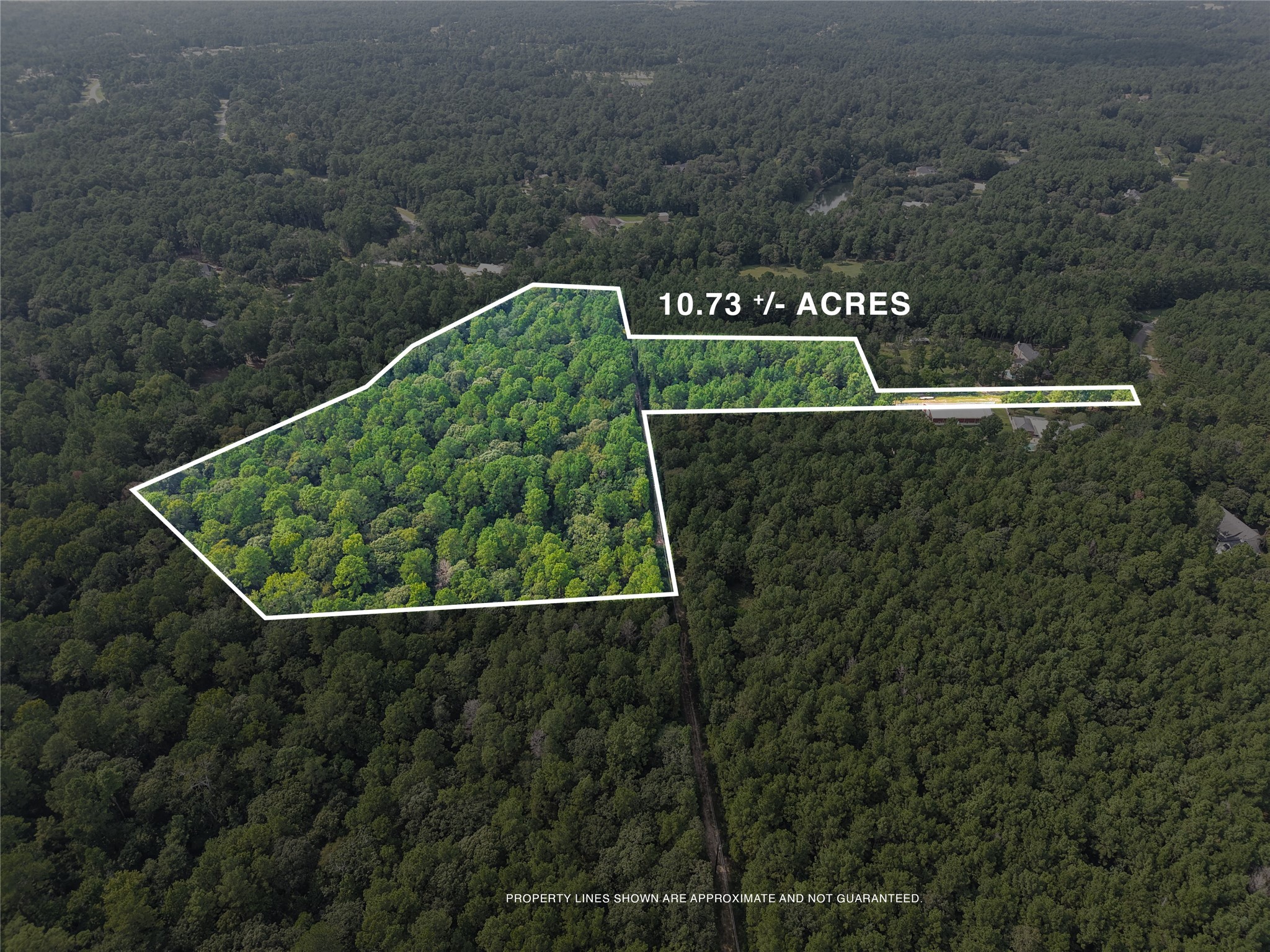000 Whispering Meadow Property Photo 5