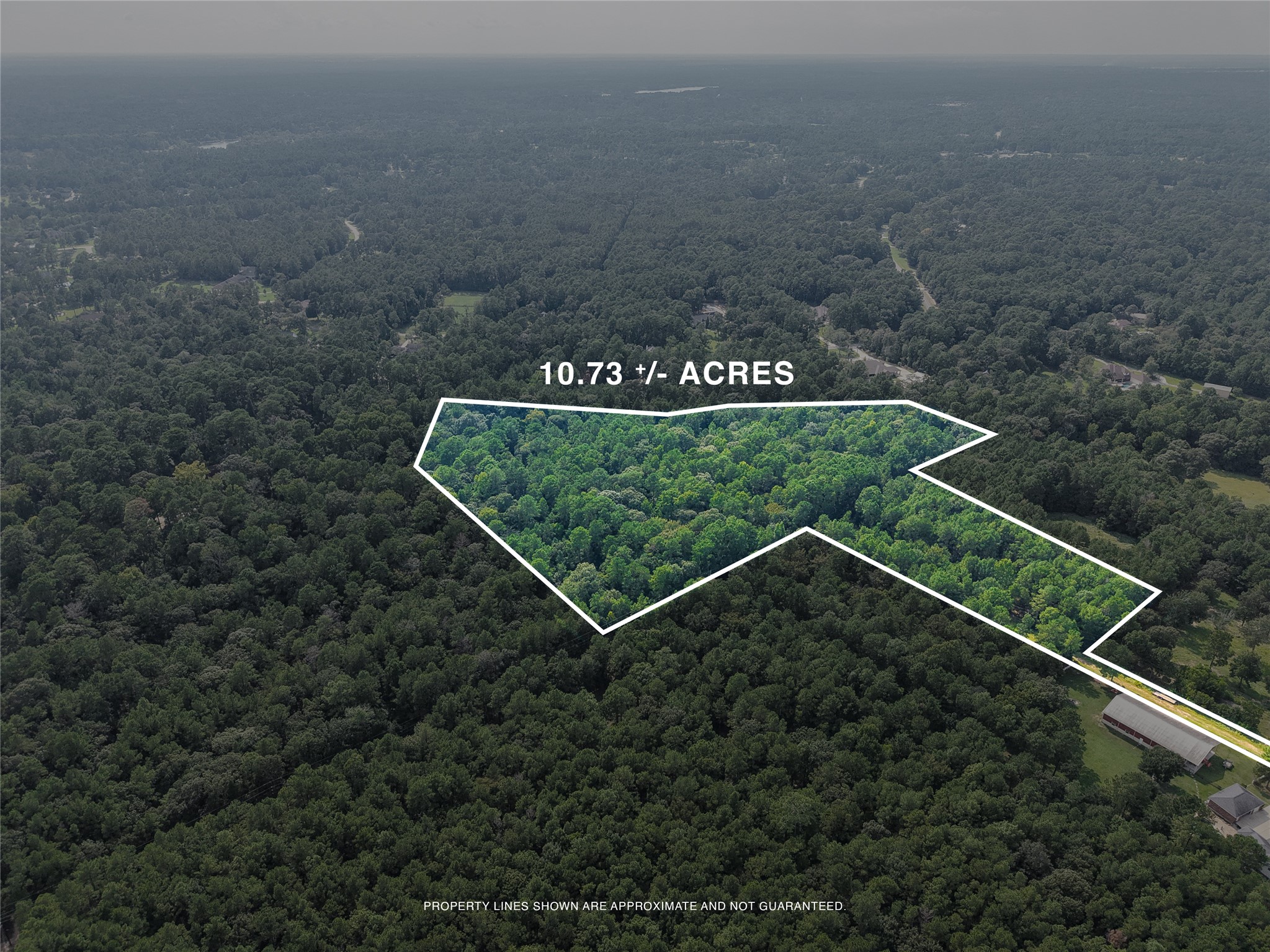 000 Whispering Meadow Property Photo 6