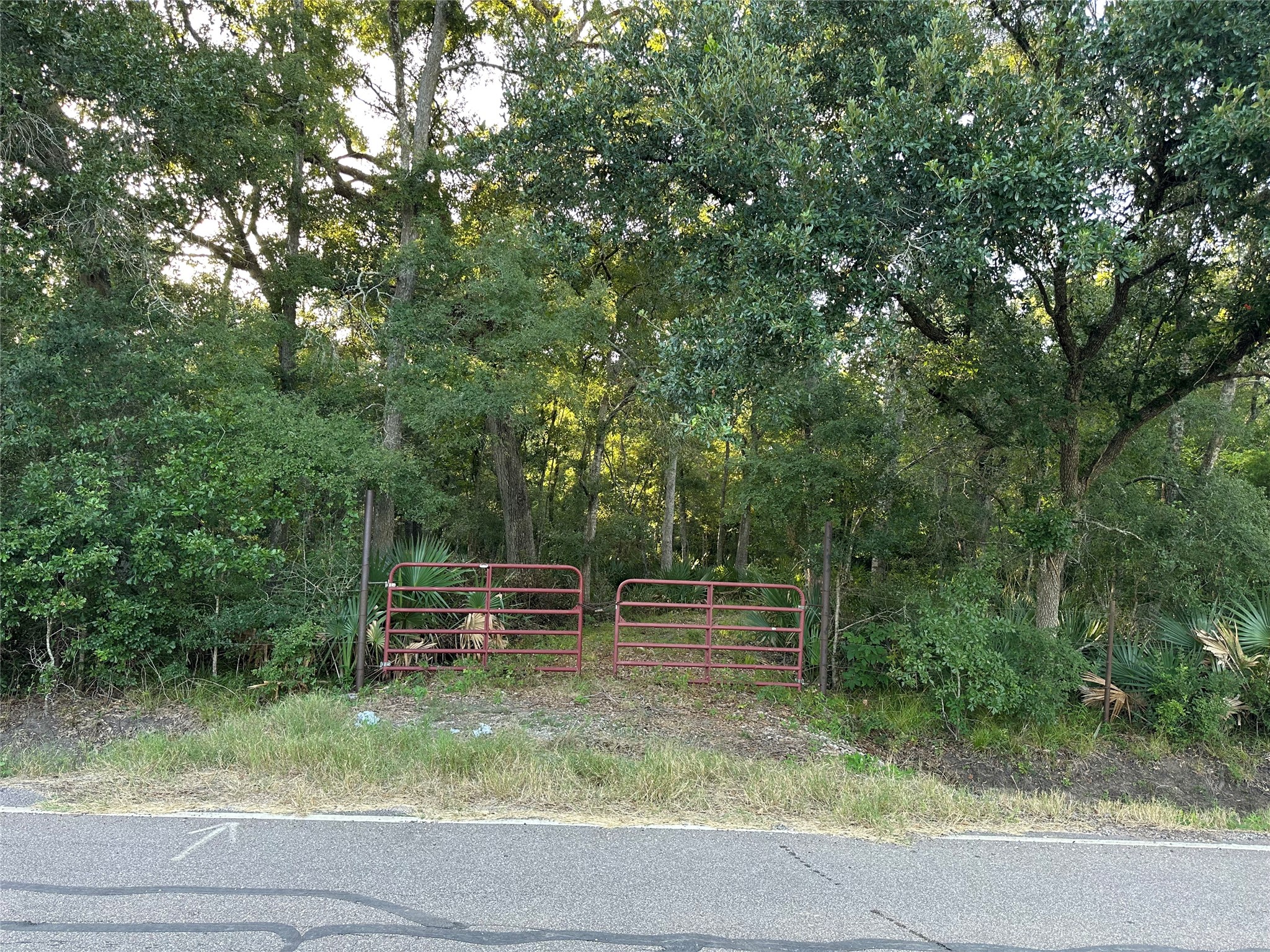 0 County Road 728c Property Photo 1