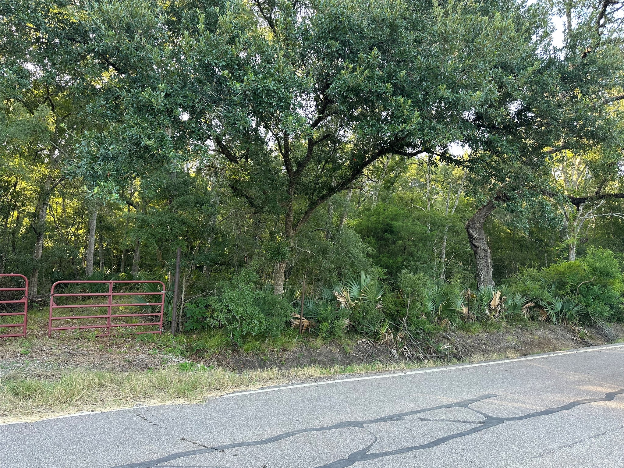 0 County Road 728c Property Photo 2