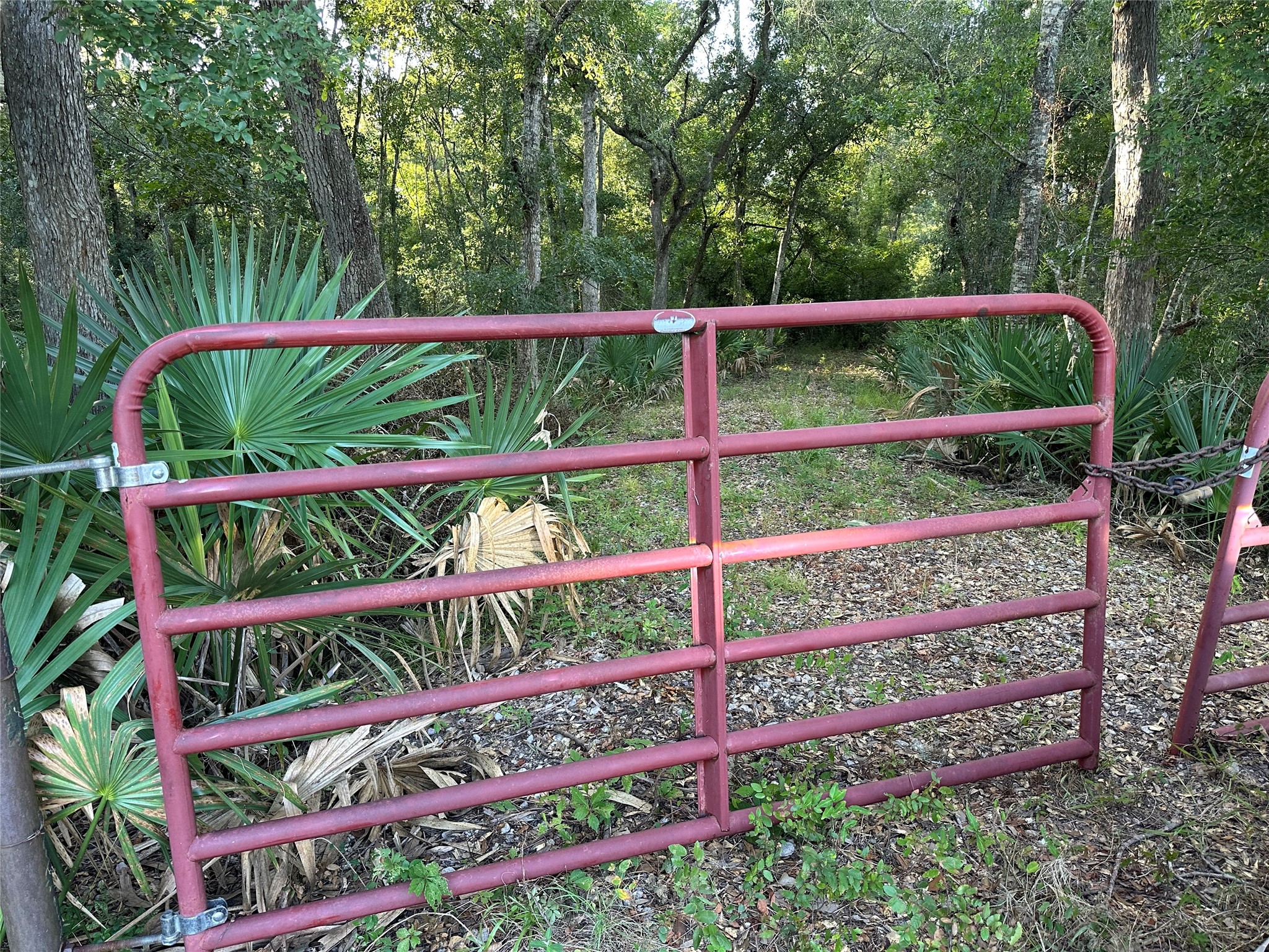 0 County Road 728c Property Photo 4