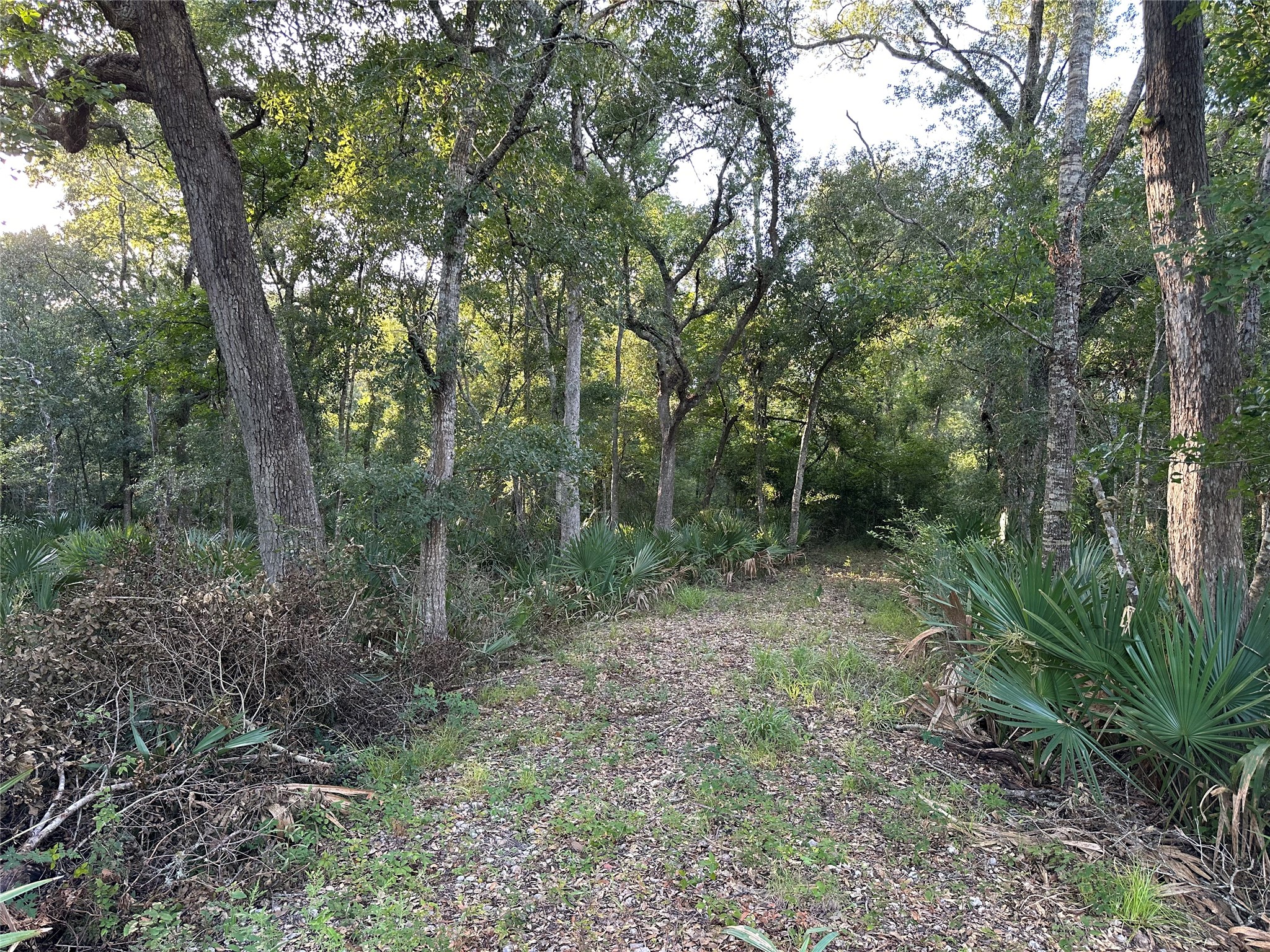 0 County Road 728c Property Photo 5