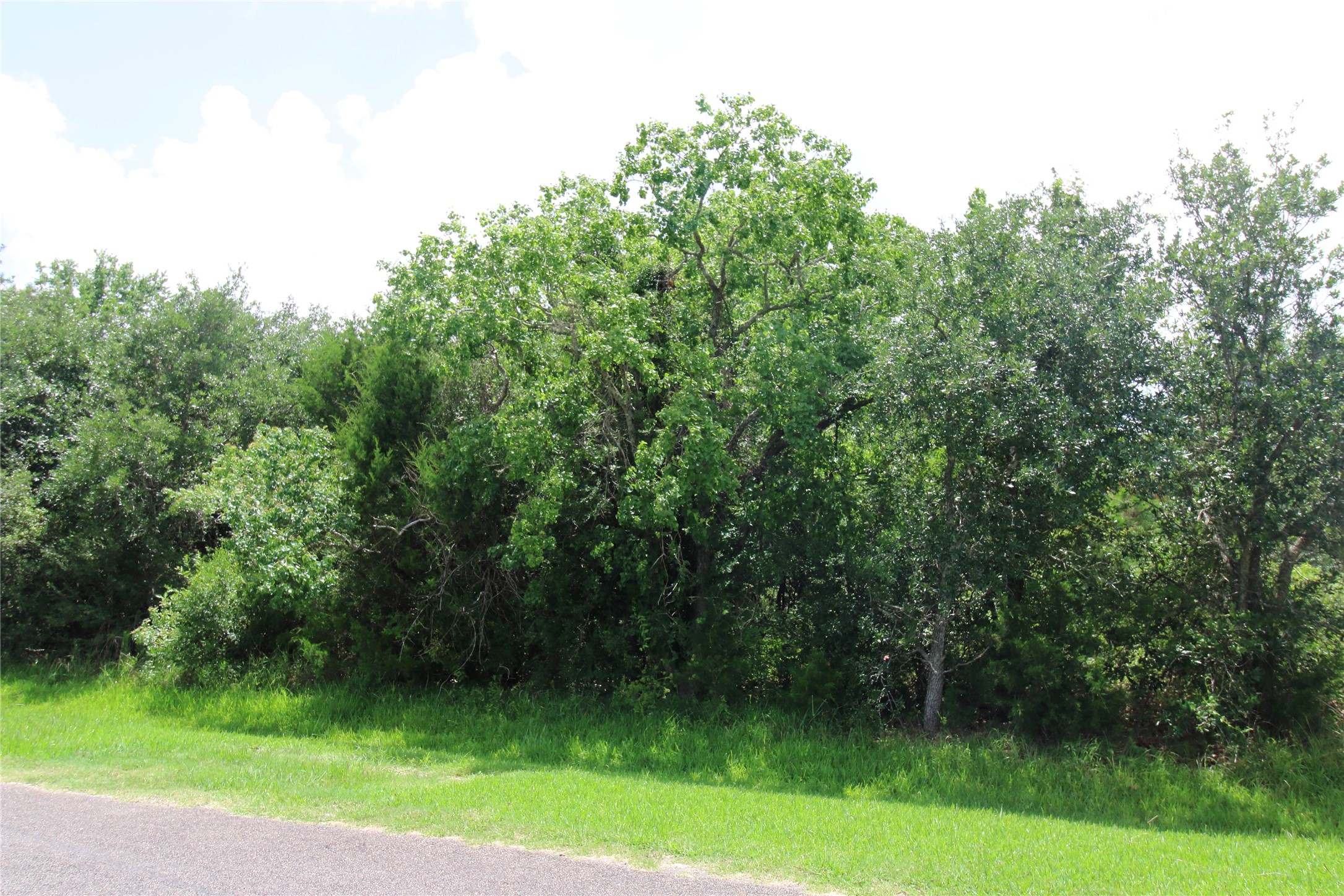 0 Neirbo Street Property Photo 1
