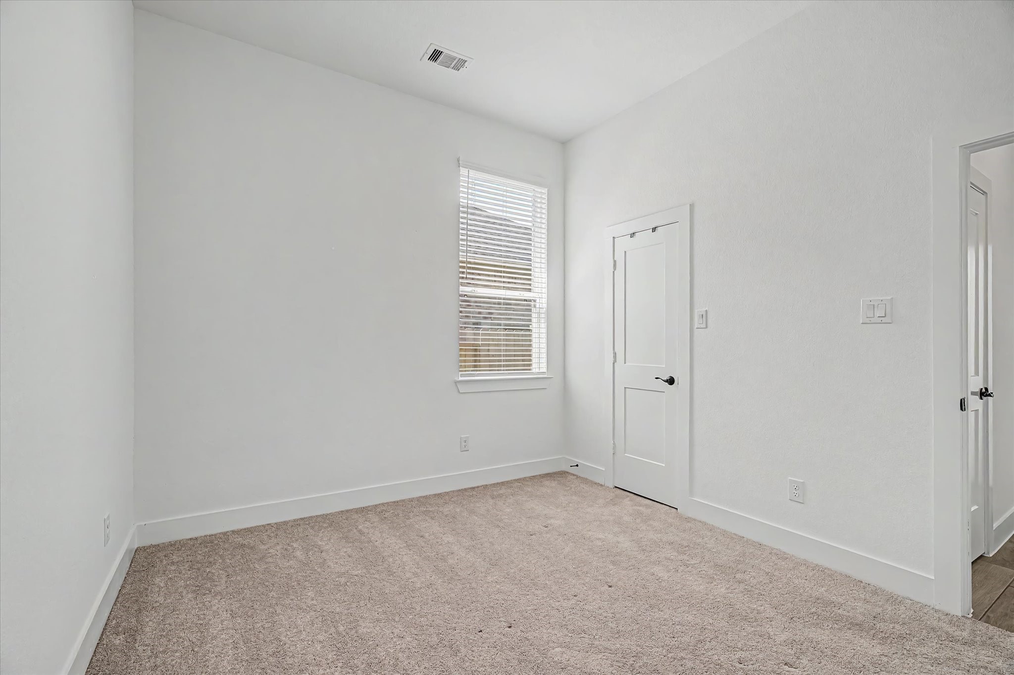 3851 Mulberry Farms Drive Property Photo 23