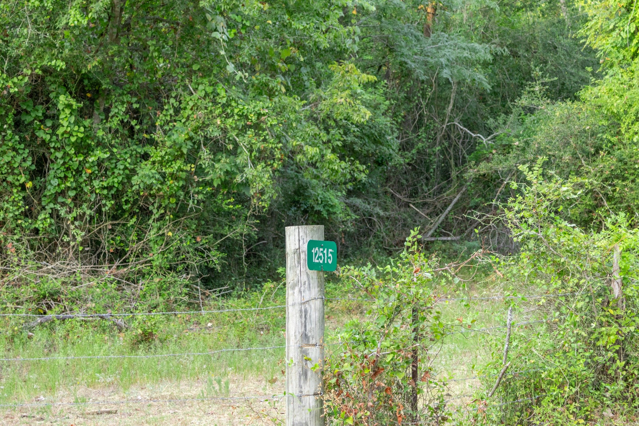 12515 Whitman Road Property Photo 3