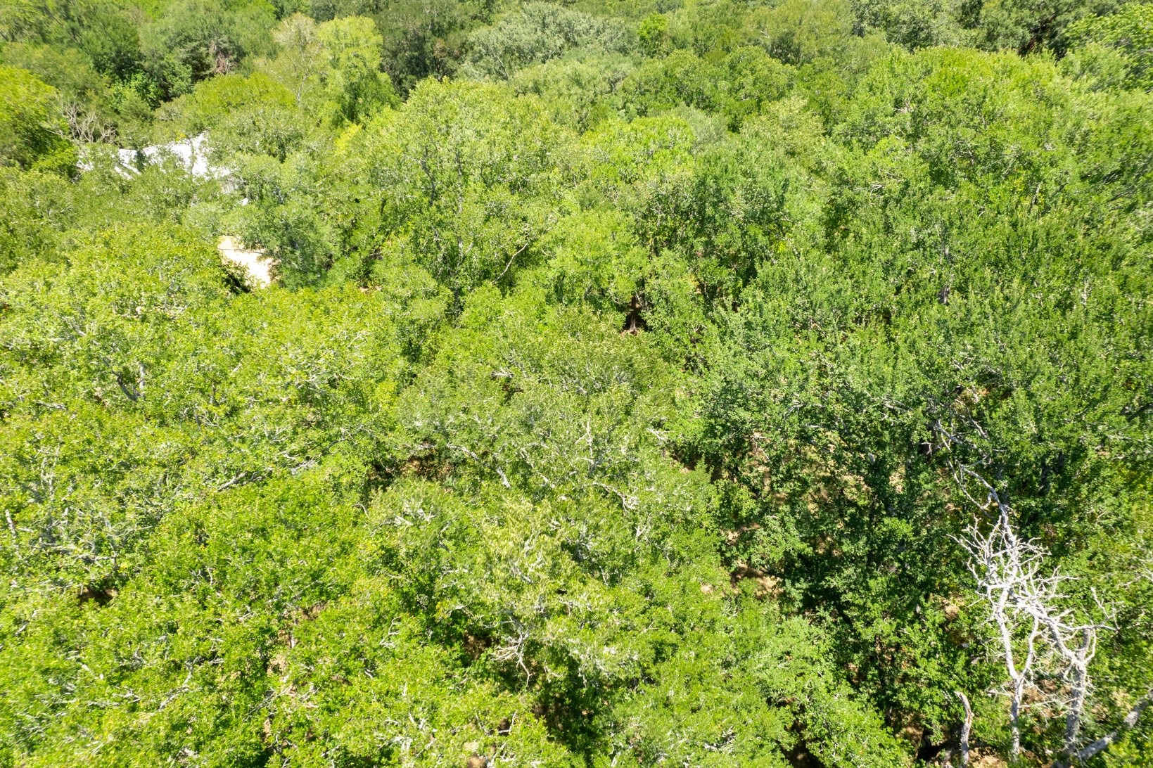 12515 Whitman Road Property Photo 8