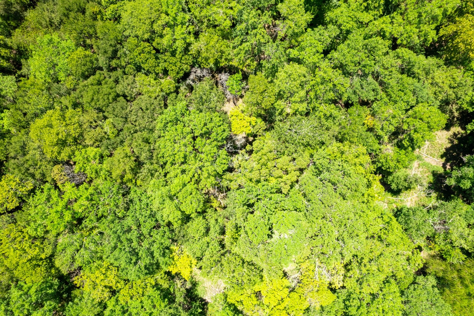 12515 Whitman Road Property Photo 9