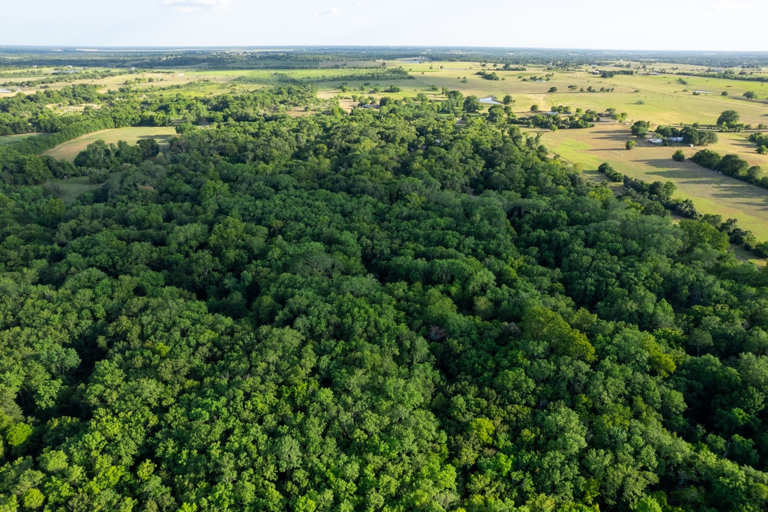 12515 Whitman Road Property Photo 10
