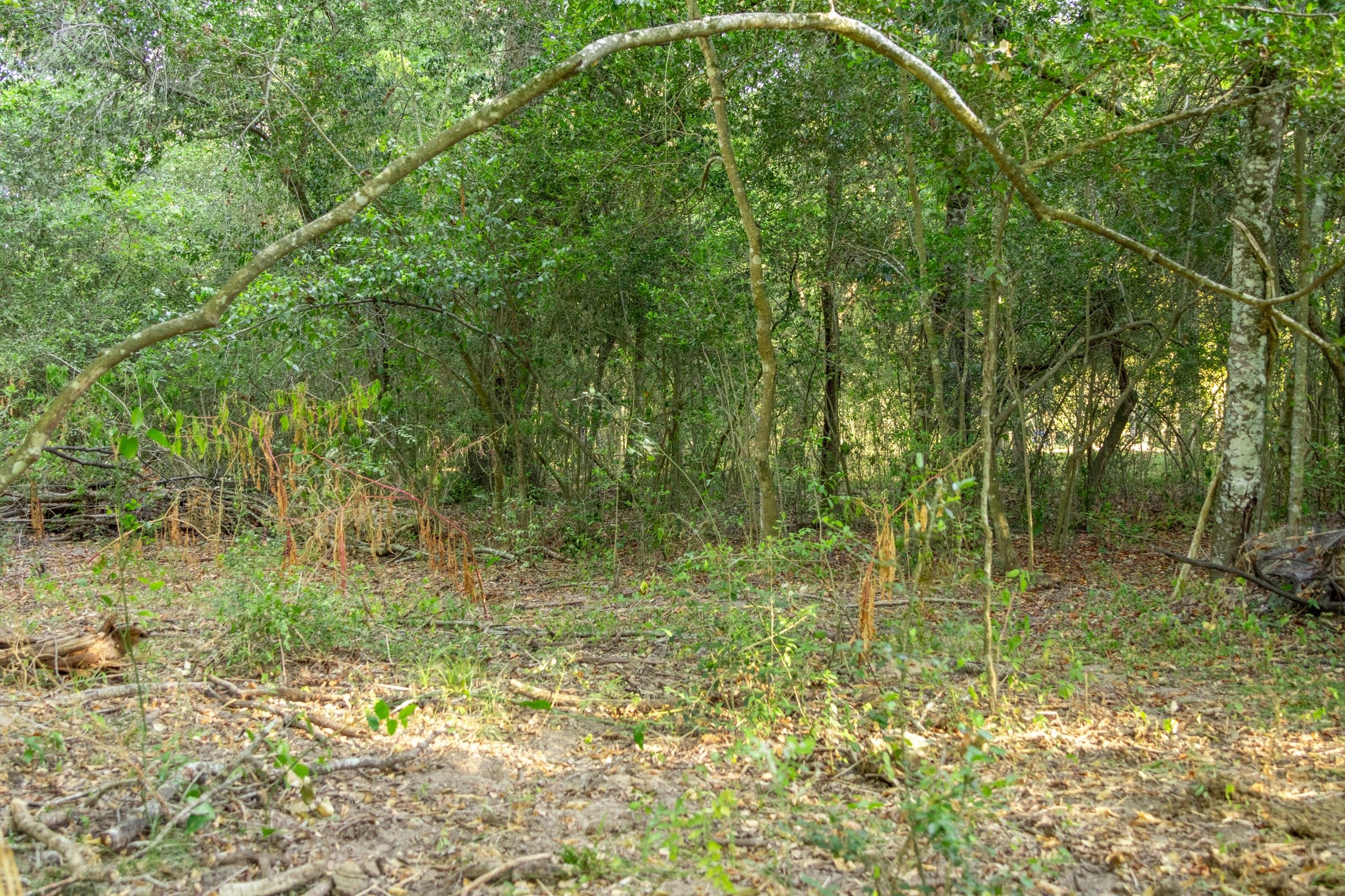 12515 Whitman Road Property Photo 15