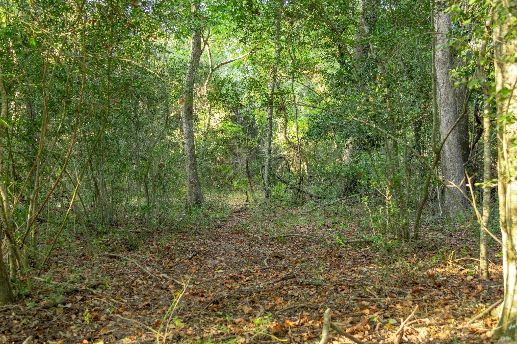 12515 Whitman Road Property Photo 17