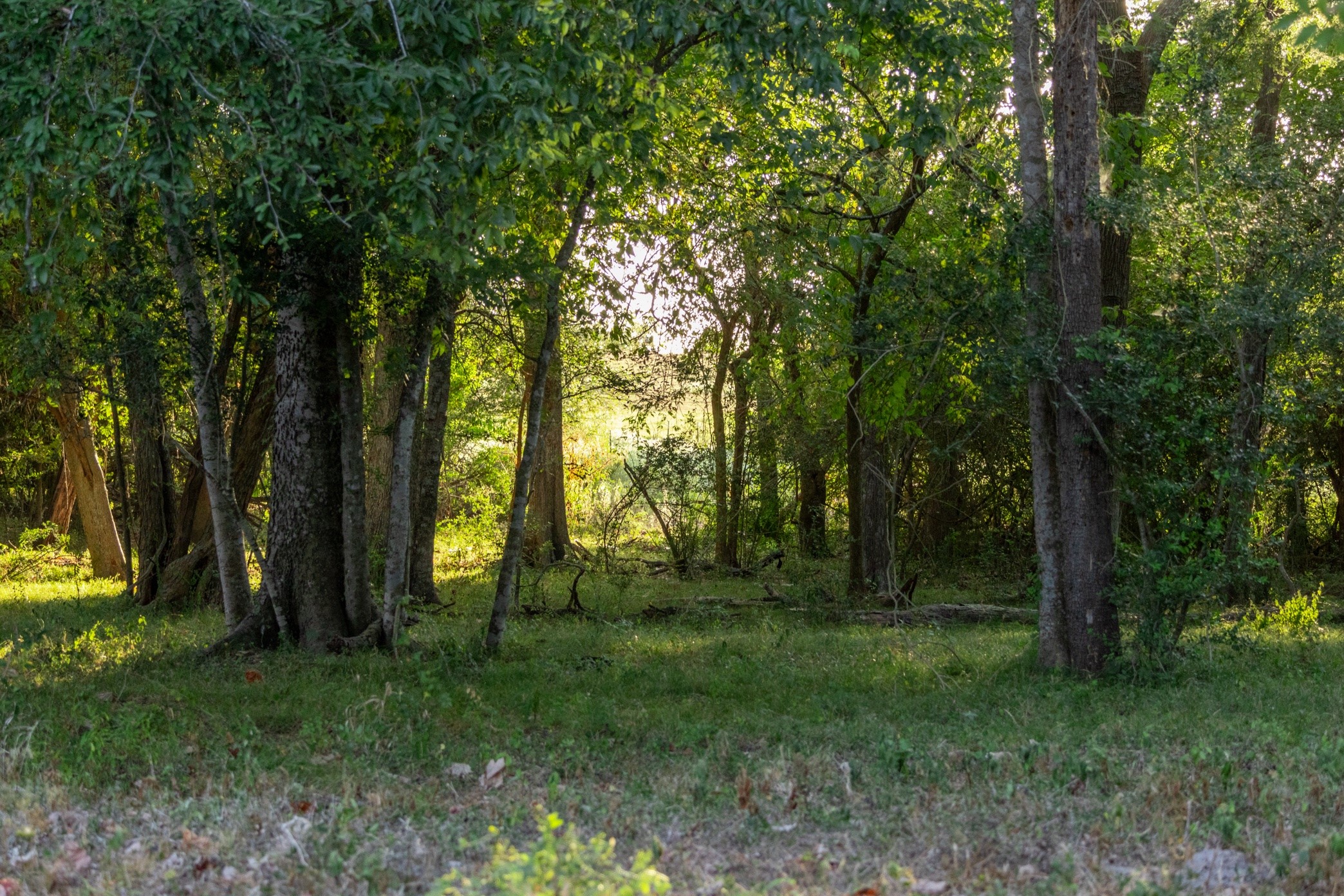 12515 Whitman Road Property Photo 20