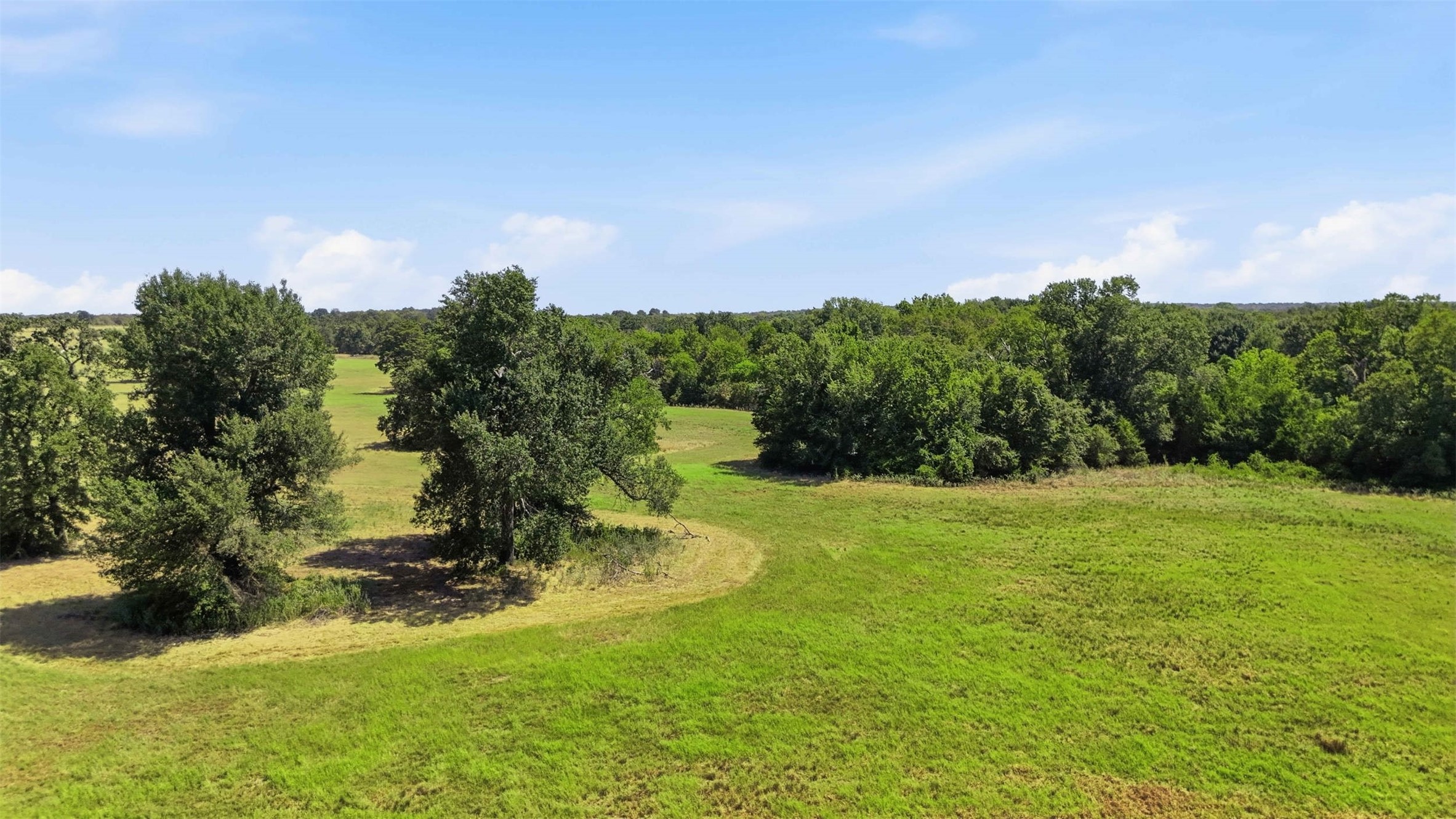 15.18 Acres Little Mississippi Cemetery Road Property Photo 2