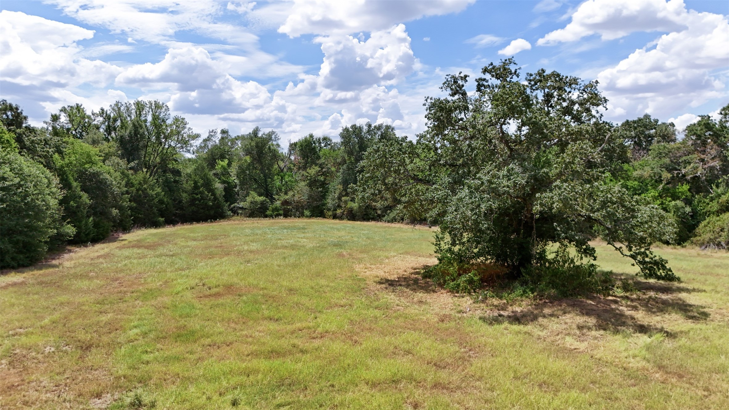 15.18 Acres Little Mississippi Cemetery Road Property Photo 6