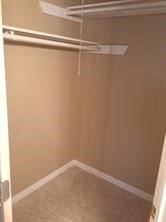 11602 Grapewood Drive Property Photo 13