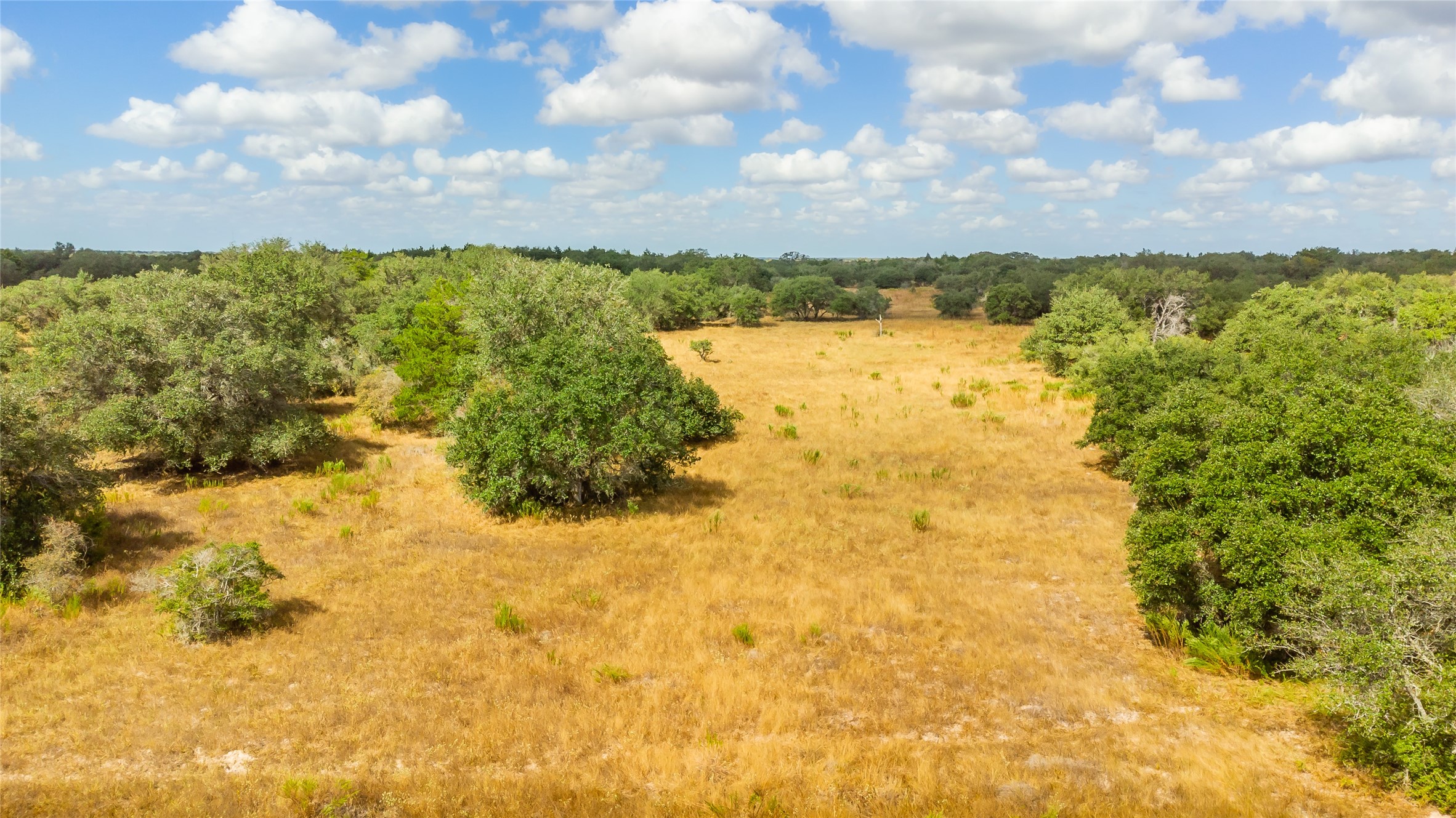 15272 State Highway 111 E Property Photo 10