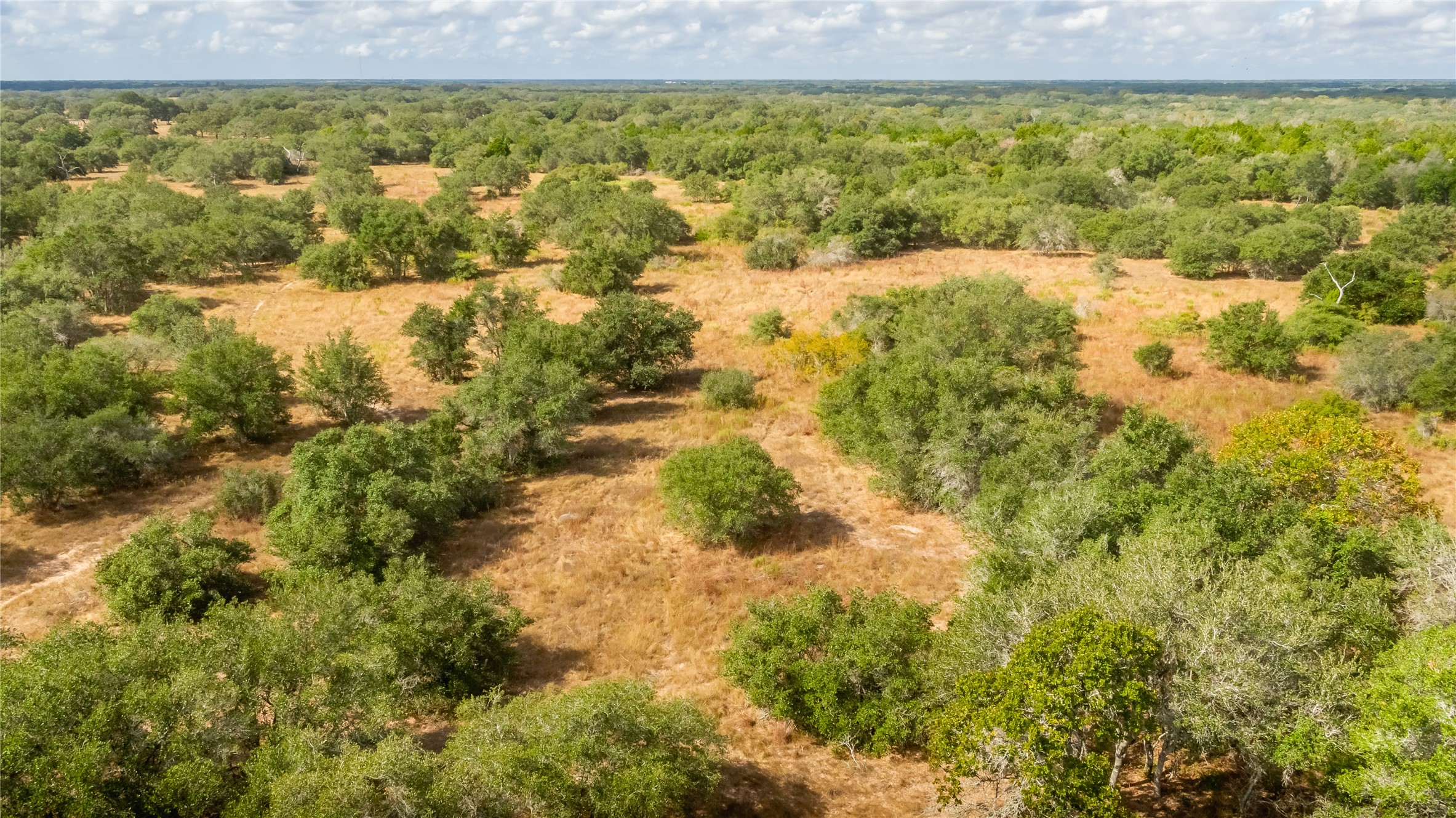 15272 State Highway 111 E Property Photo 14