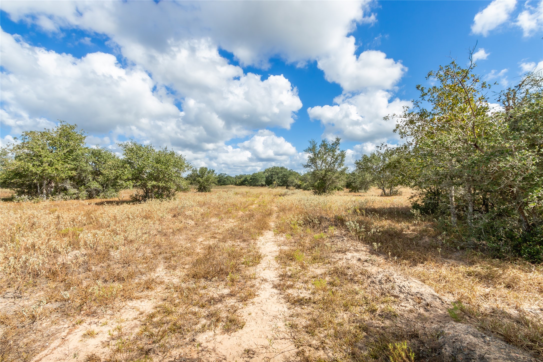 15272 State Highway 111 E Property Photo 28