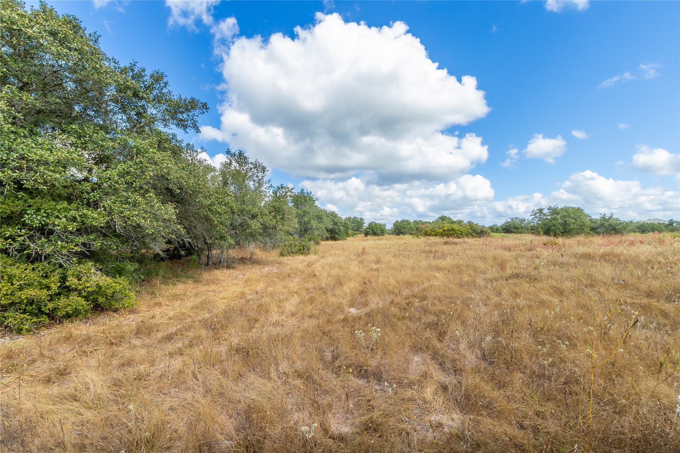 15272 State Highway 111 E Property Photo 30