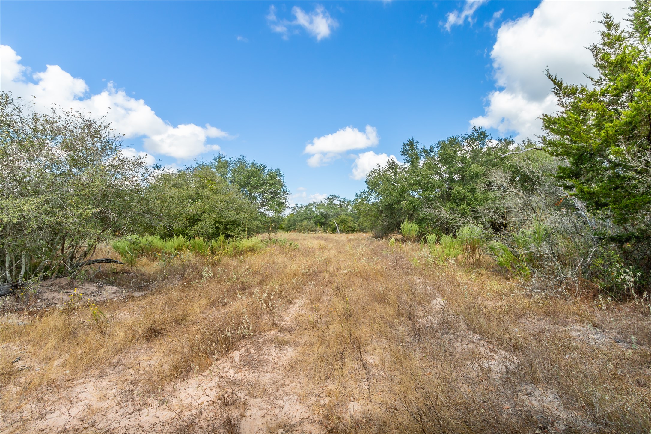 15272 State Highway 111 E Property Photo 31