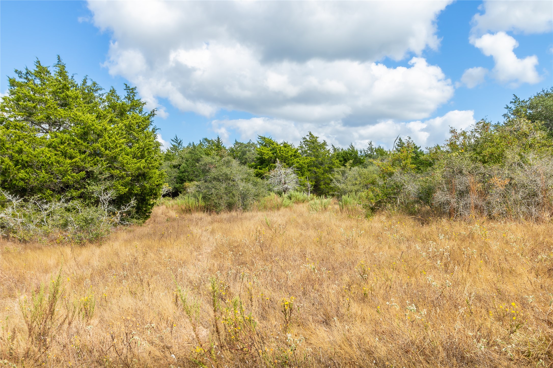15272 State Highway 111 E Property Photo 32
