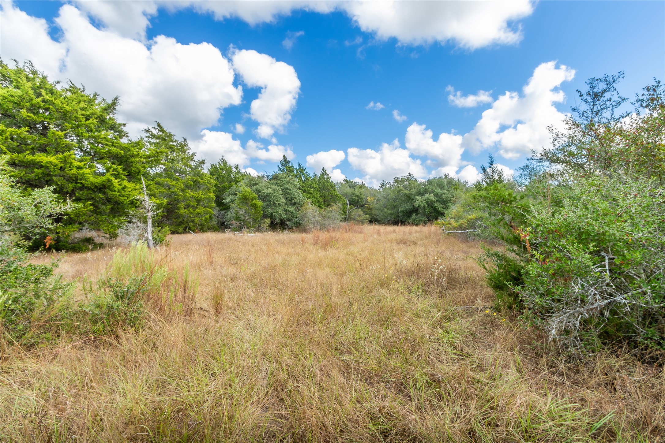 15272 State Highway 111 E Property Photo 33