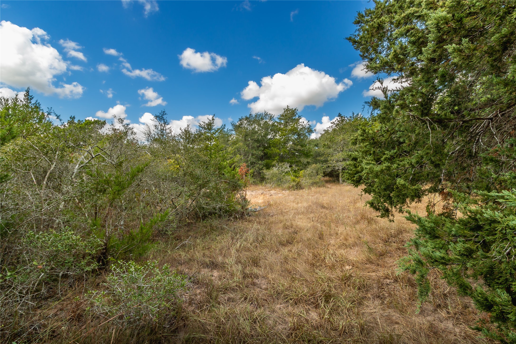 15272 State Highway 111 E Property Photo 34
