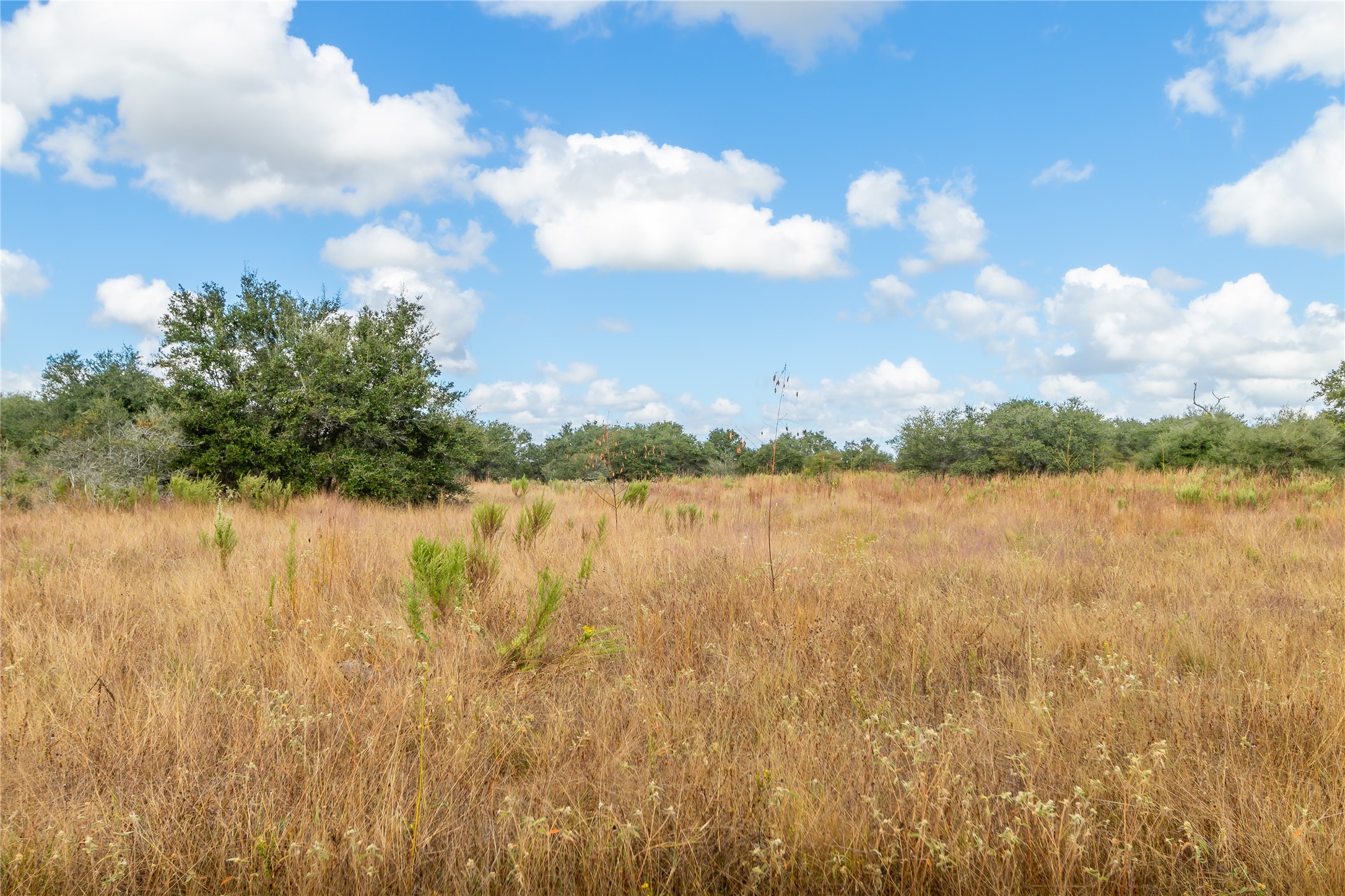 15272 State Highway 111 E Property Photo 35