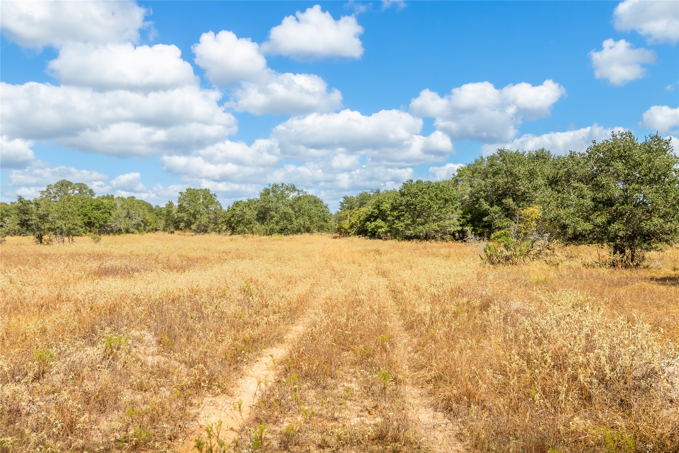 15272 State Highway 111 E Property Photo 36