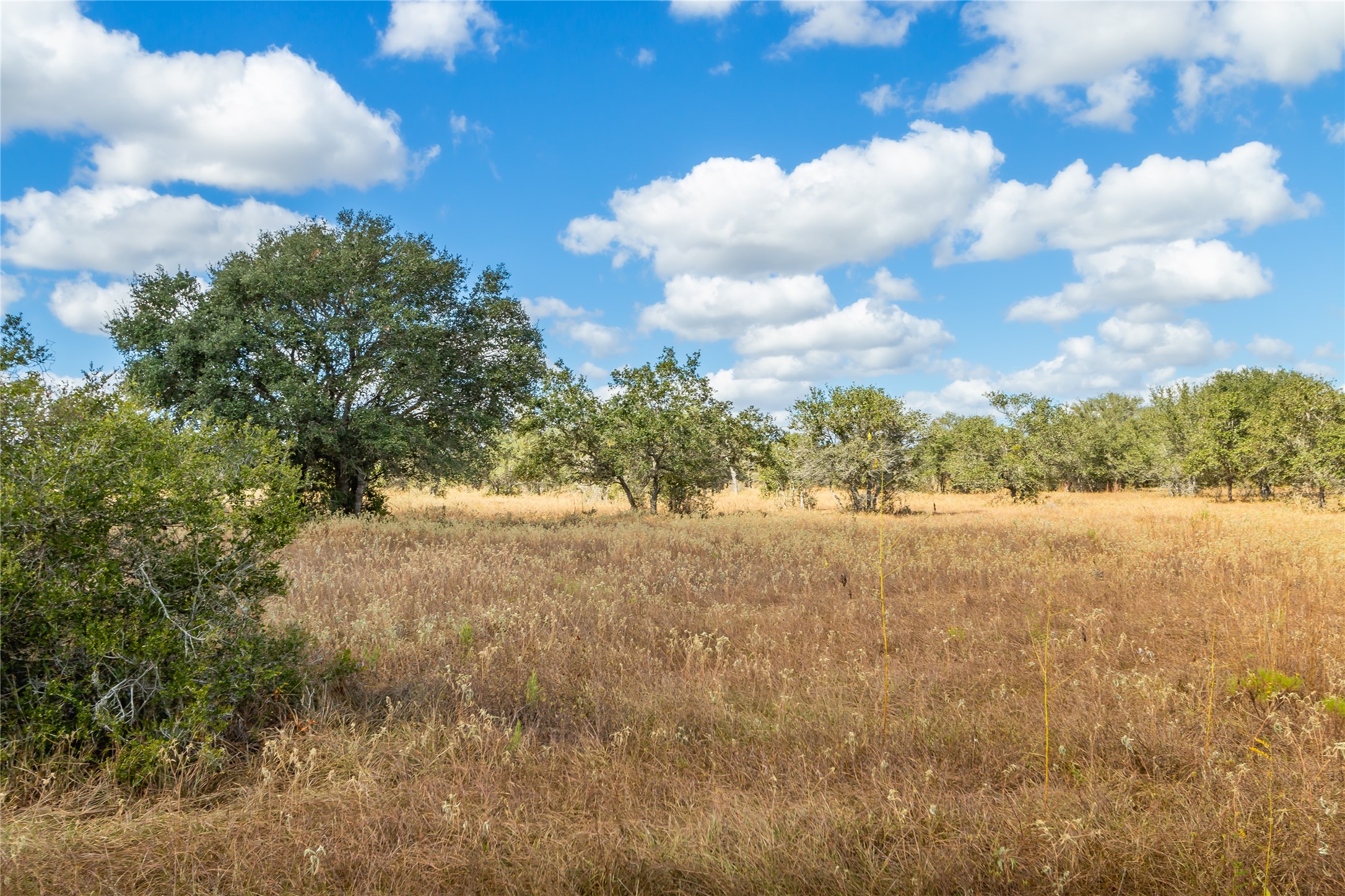15272 State Highway 111 E Property Photo 37