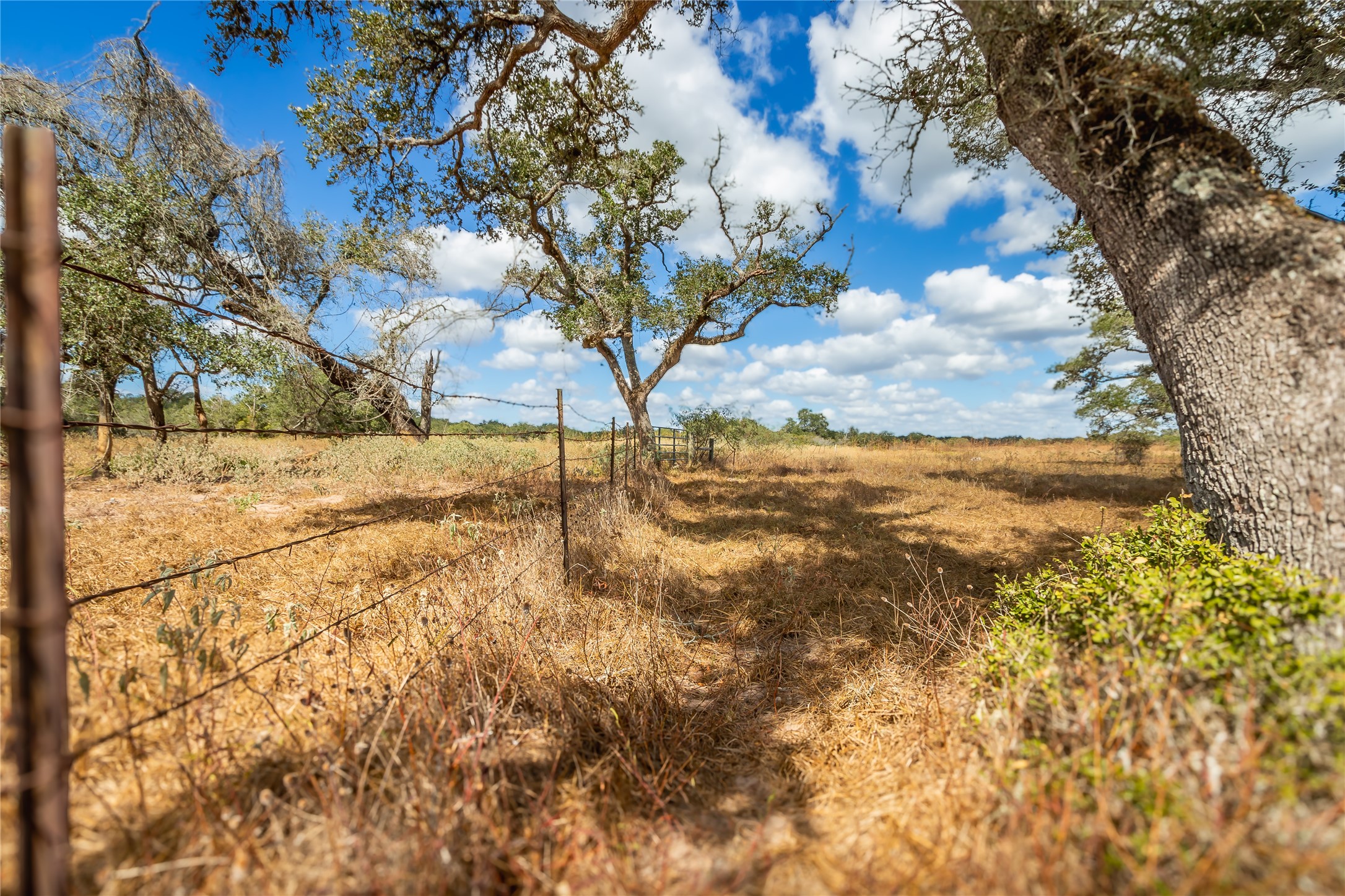 15272 State Highway 111 E Property Photo 38