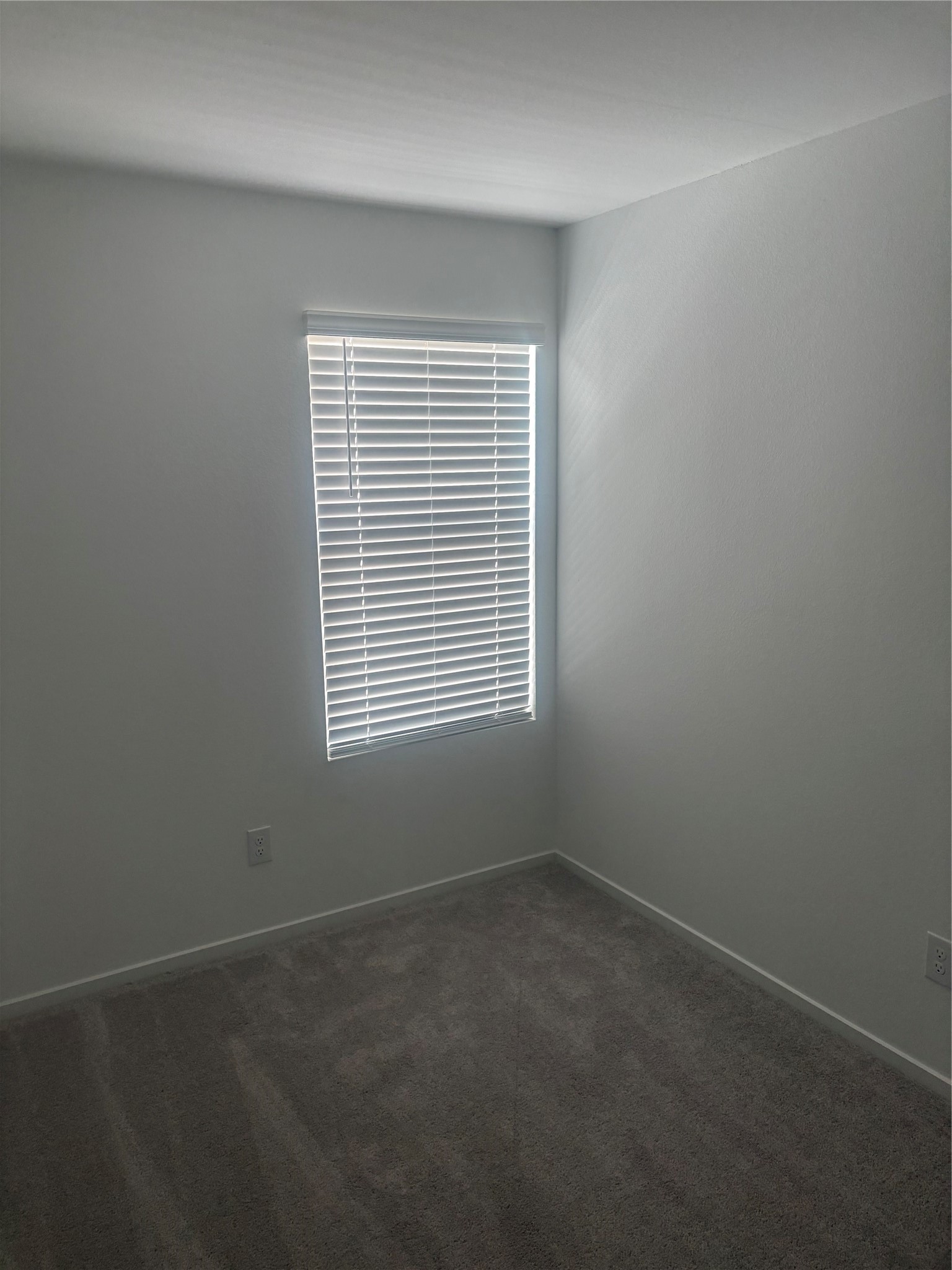 952 Pertuso Lane Property Photo 15
