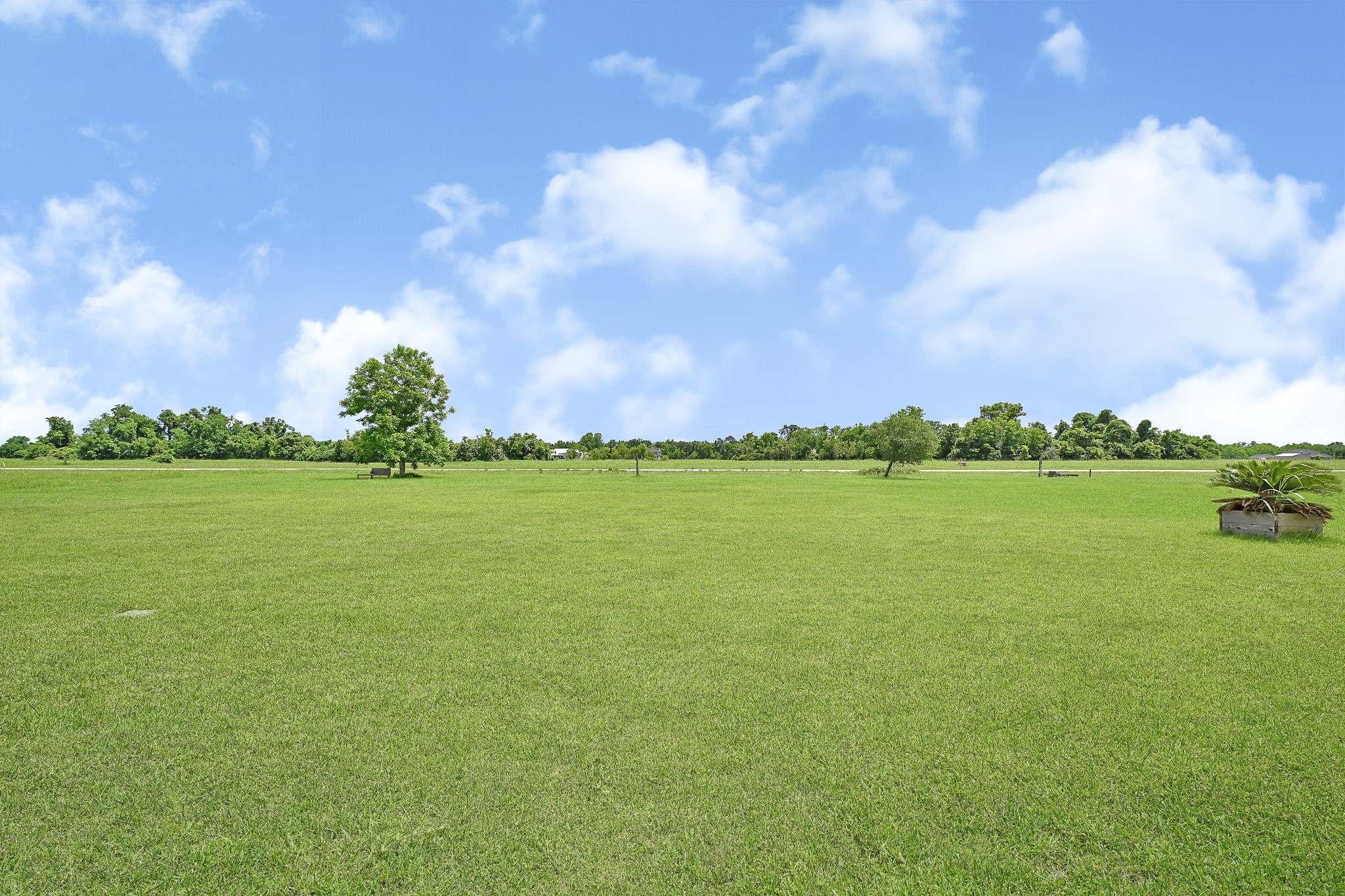 903 Chenango Ranch Drive Property Photo 47