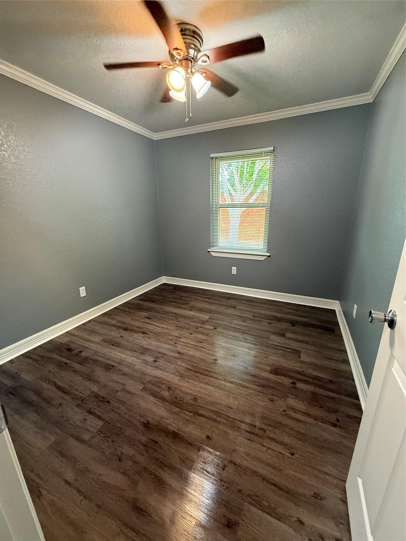 104 Mimosa Street Property Photo 9
