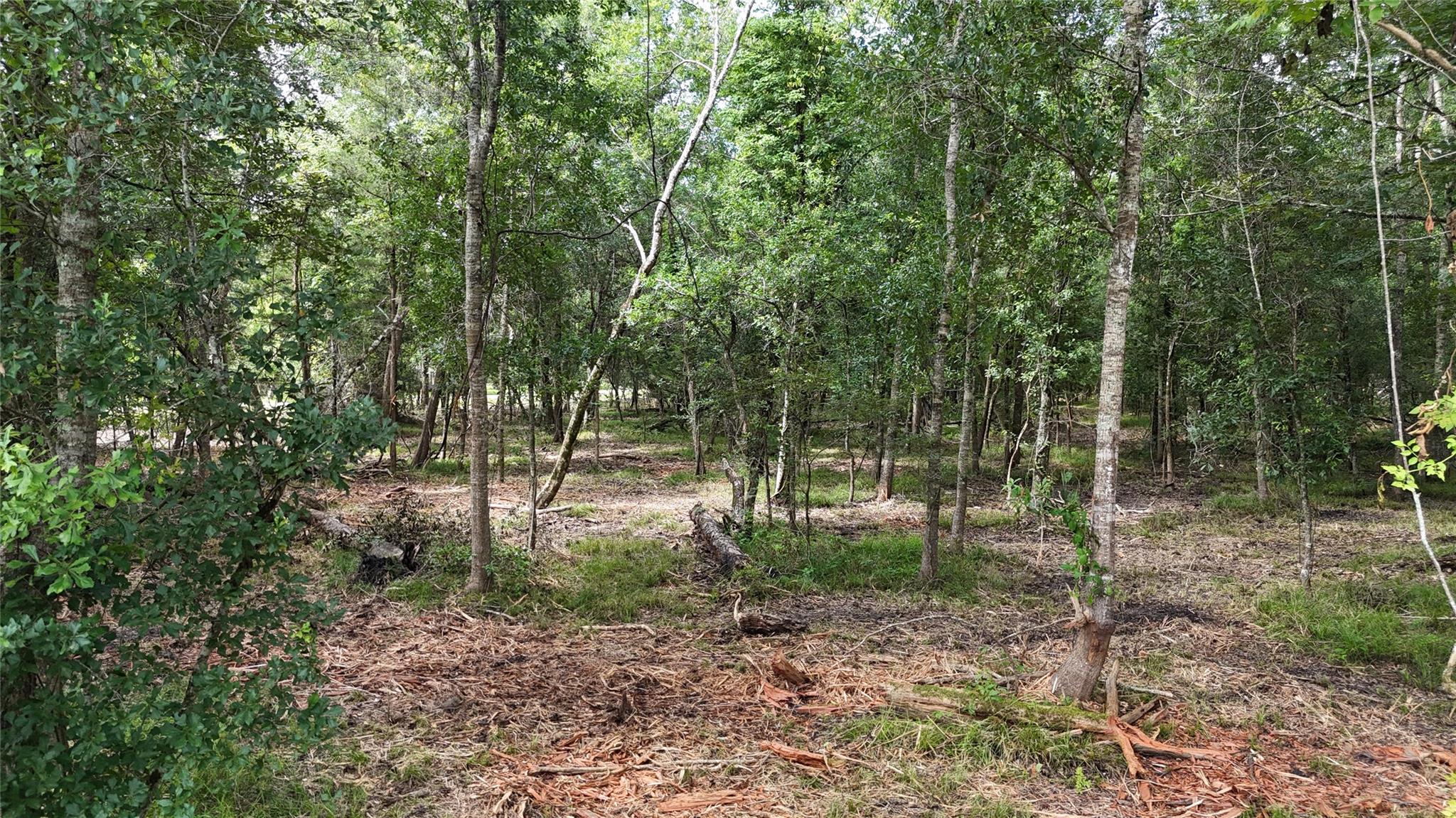 Tbd Lot 0 County Road 647, Guy Tx 77444 Property Photo 3