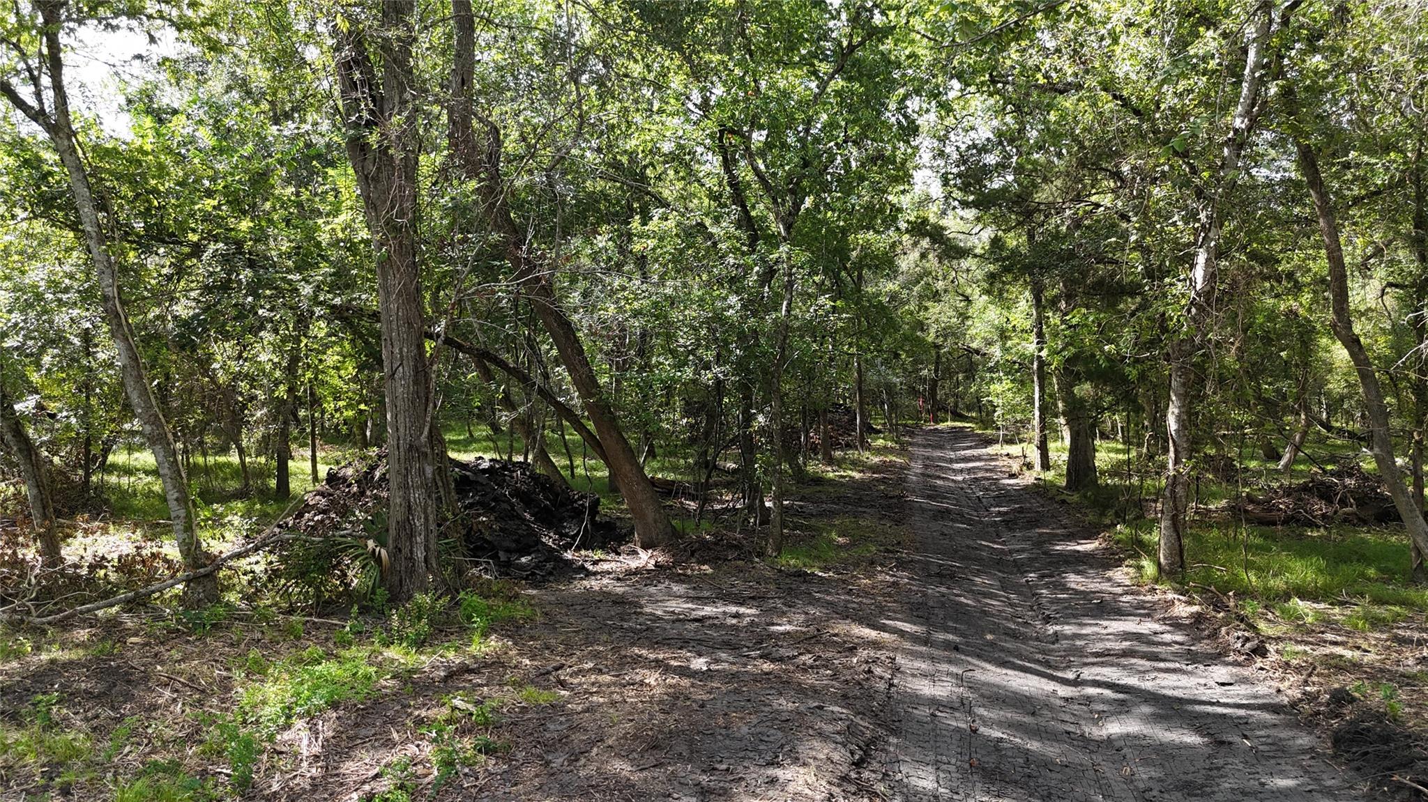Tbd Lot 0 County Road 647, Guy Tx 77444 Property Photo 6