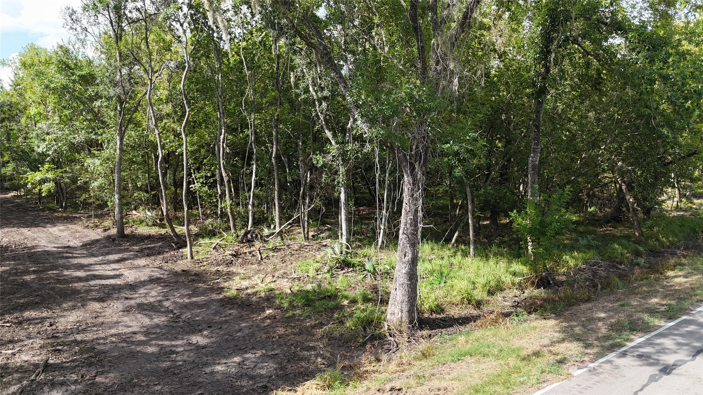 Tbd Lot 2 County Road 647 Property Photo 4