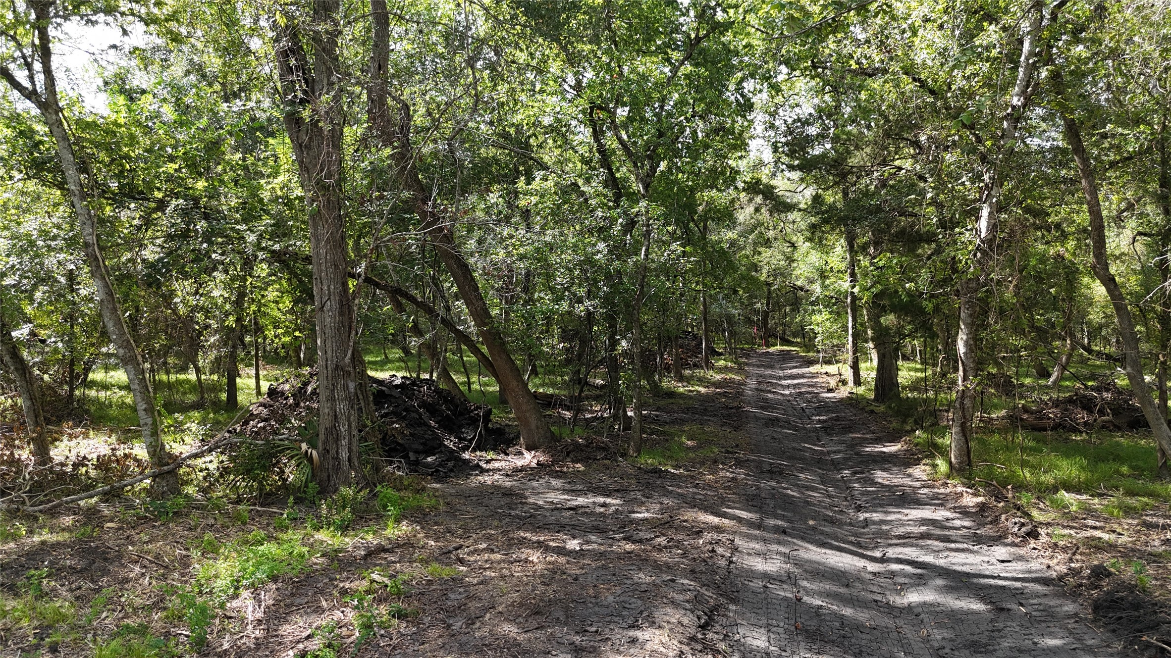 Tbd Lot 2 County Road 647 Property Photo 6