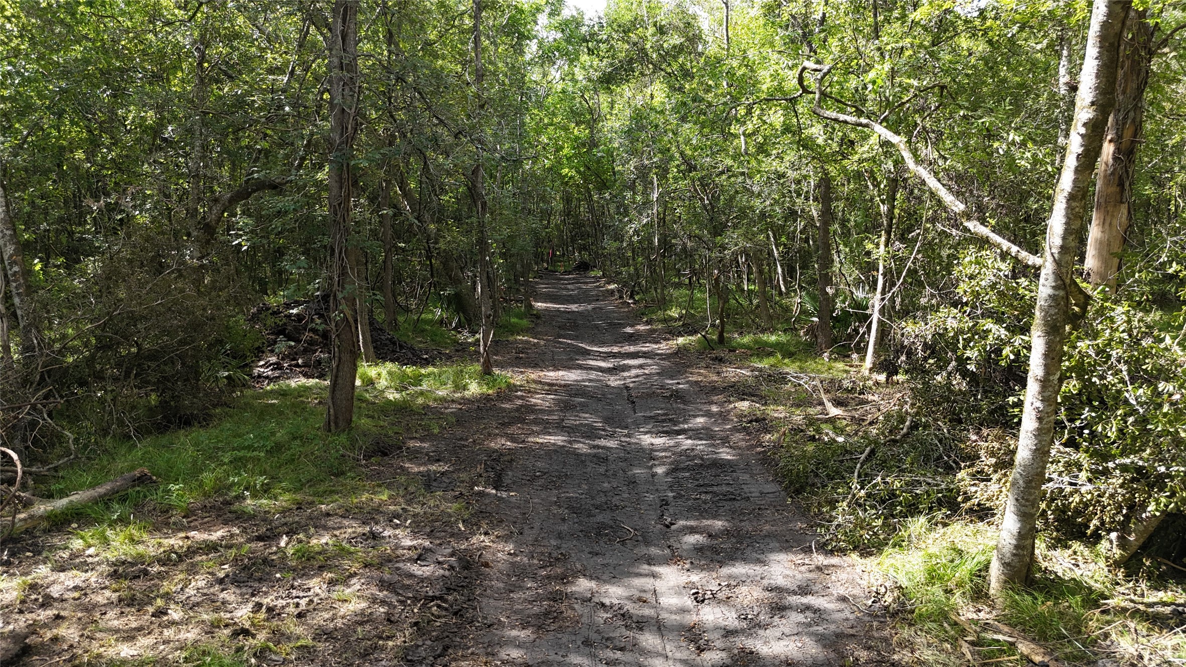 Tbd Lot 2 County Road 647 Property Photo 10