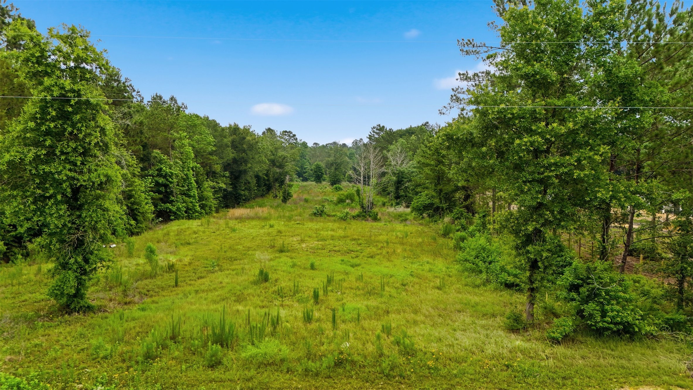 4578 N Duck Creek Road Property Photo 2