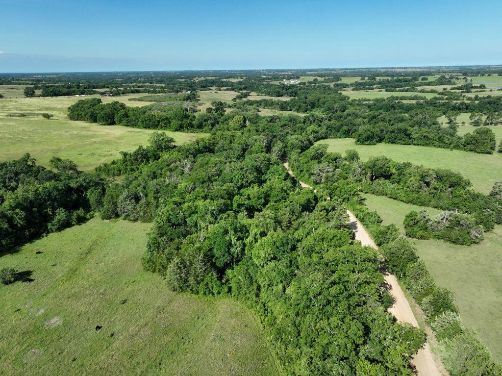 9491 Rocky Road, Bellville Tx 77418 Property Photo 3