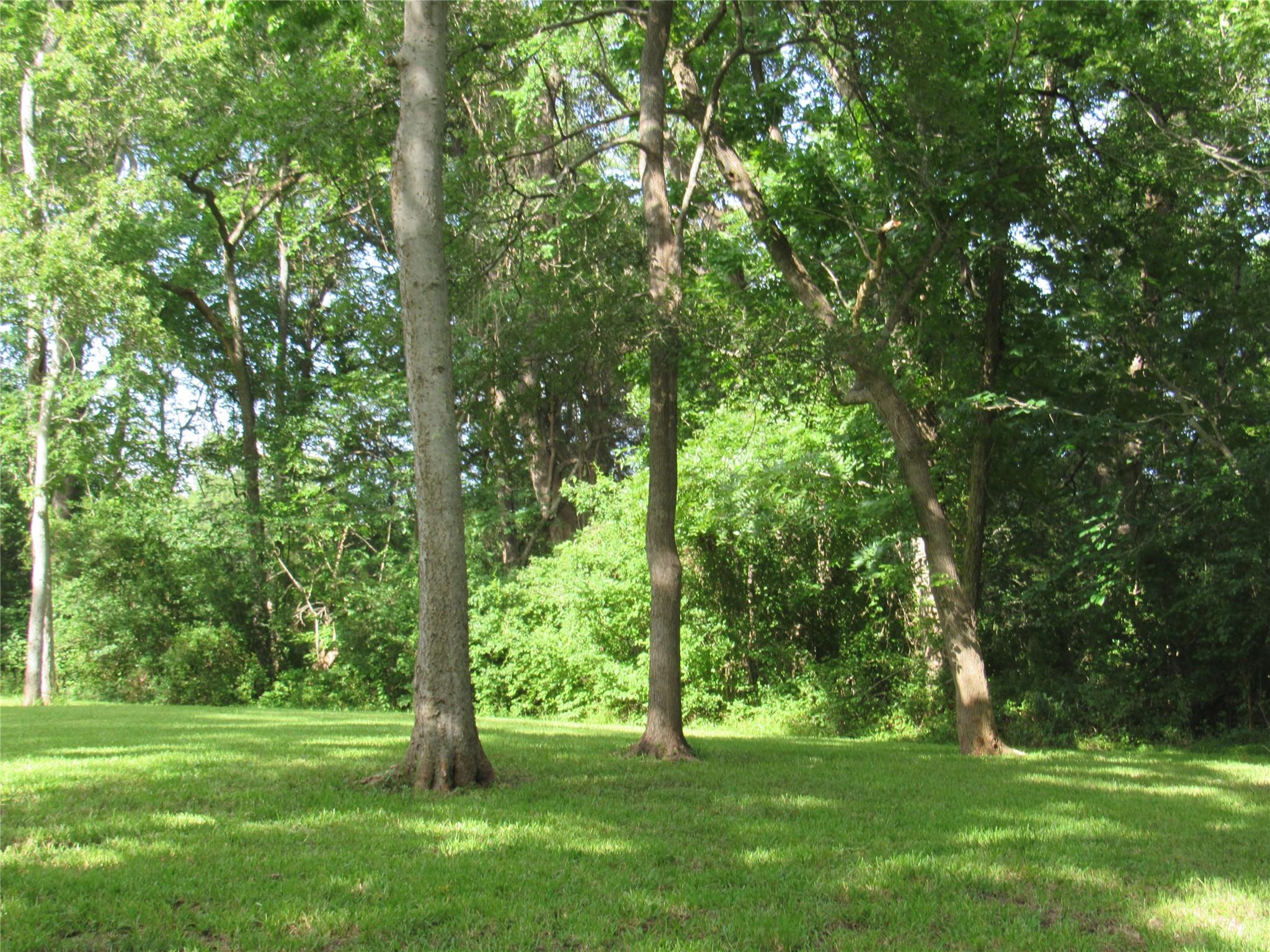 9491 Rocky Road, Bellville Tx 77418 Property Photo 9