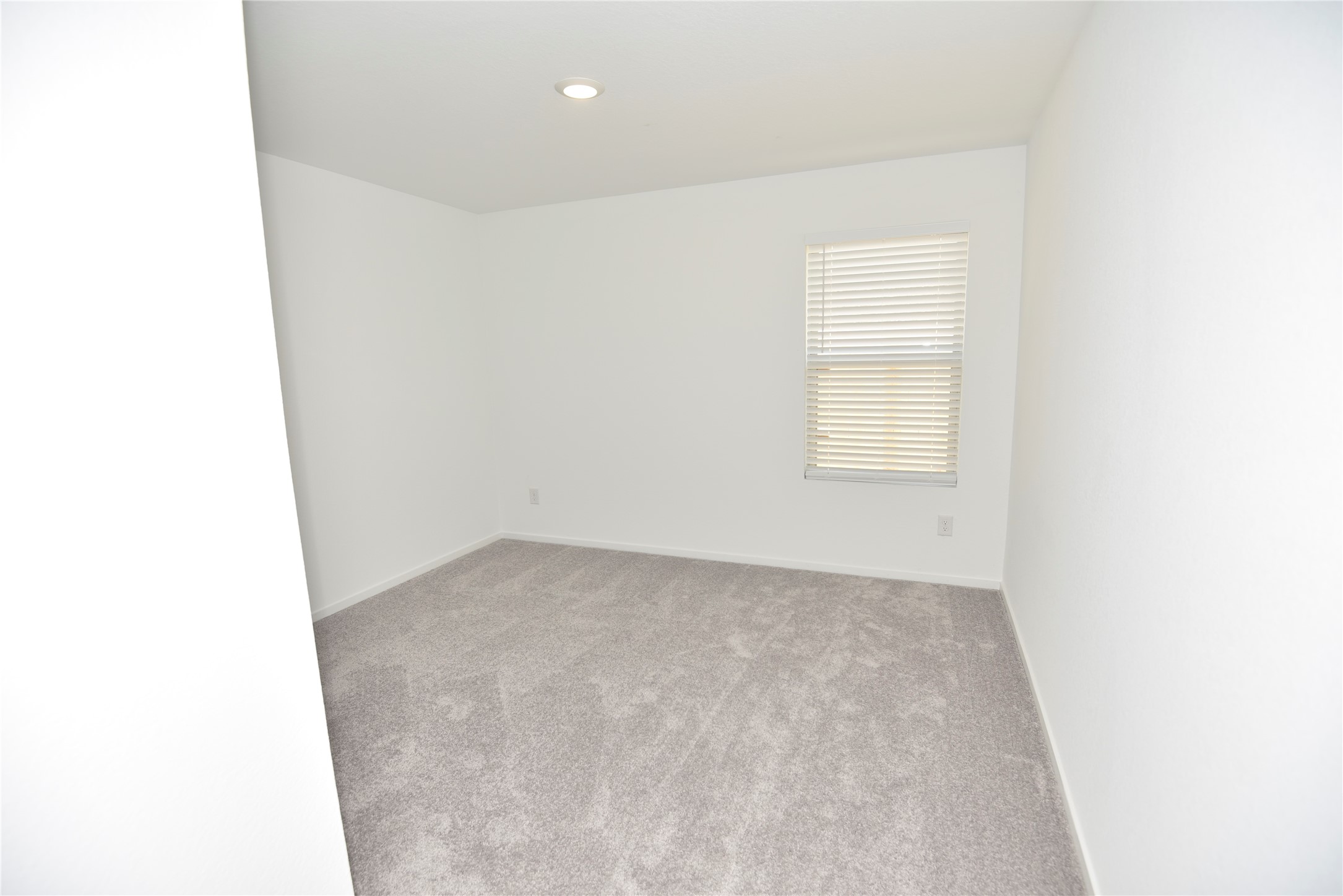 21599 Casavatore Drive Property Photo 14