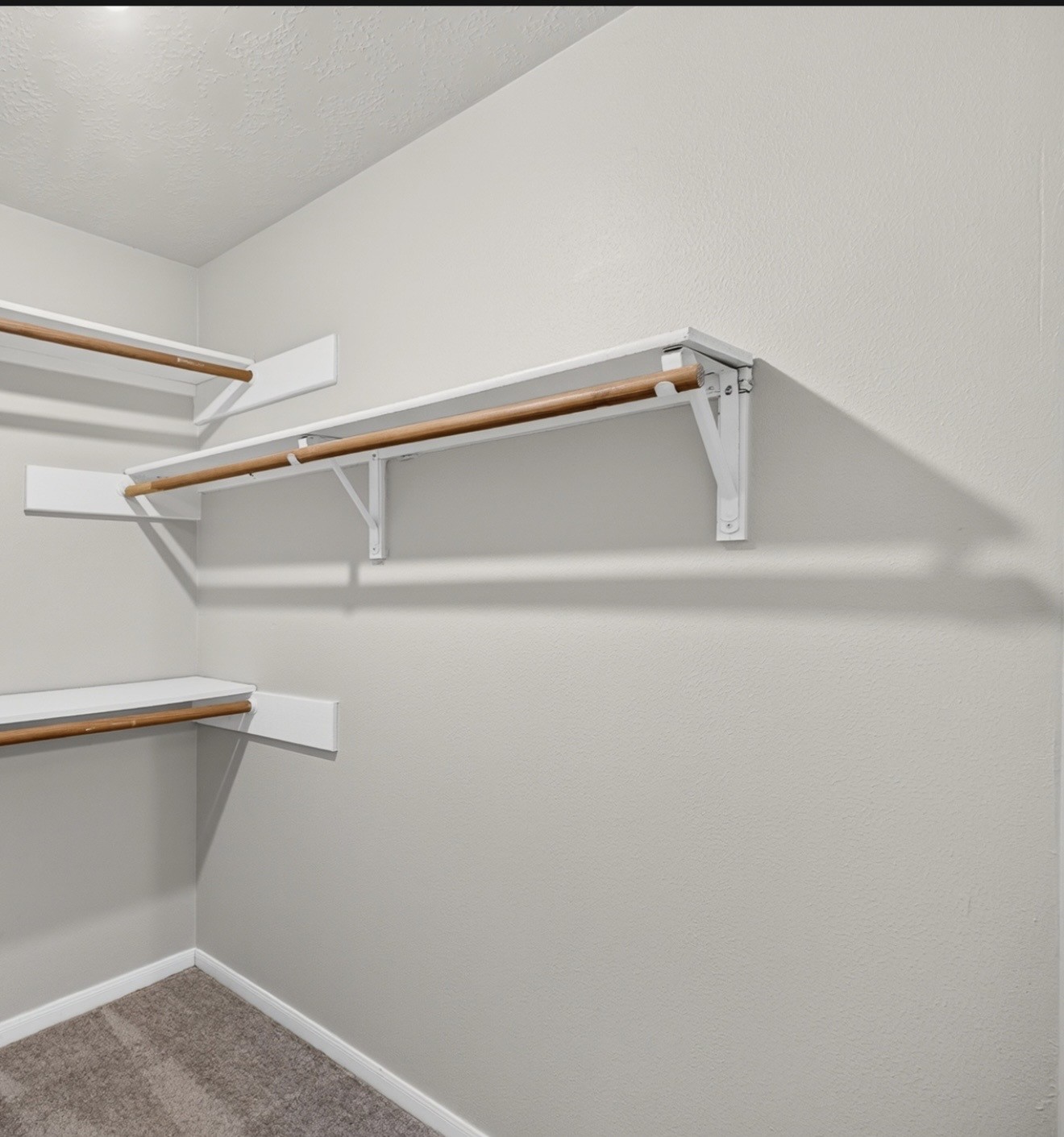 4415 Echo Falls Drive Property Photo 6