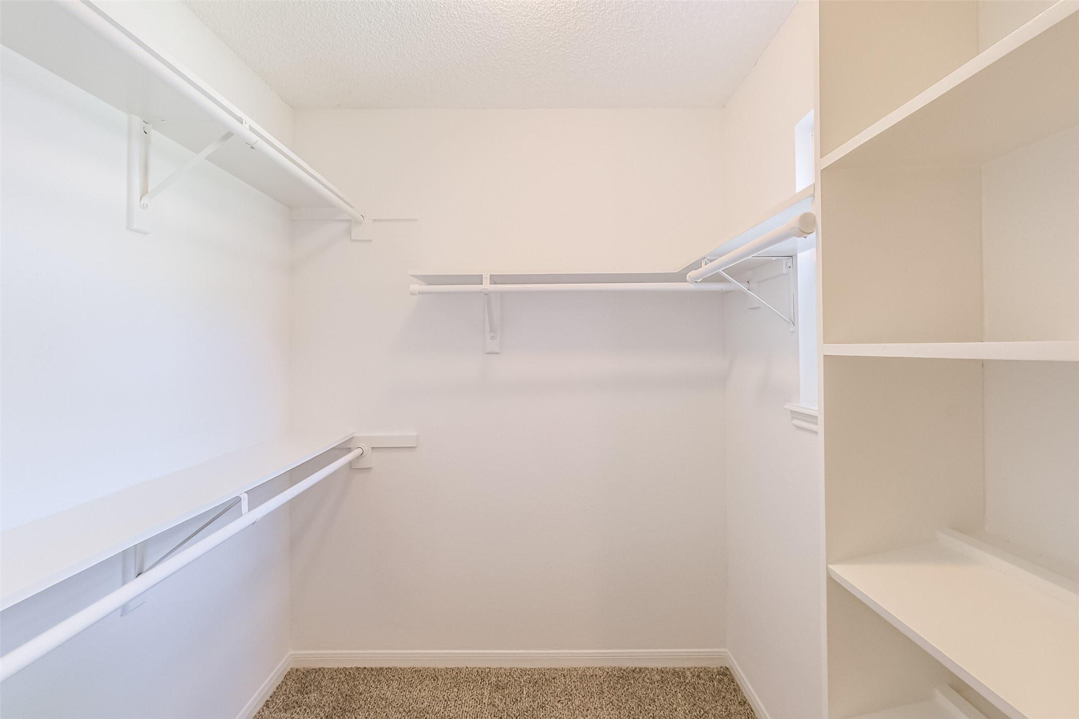 14141 Misty Meadow Lane Property Photo 17