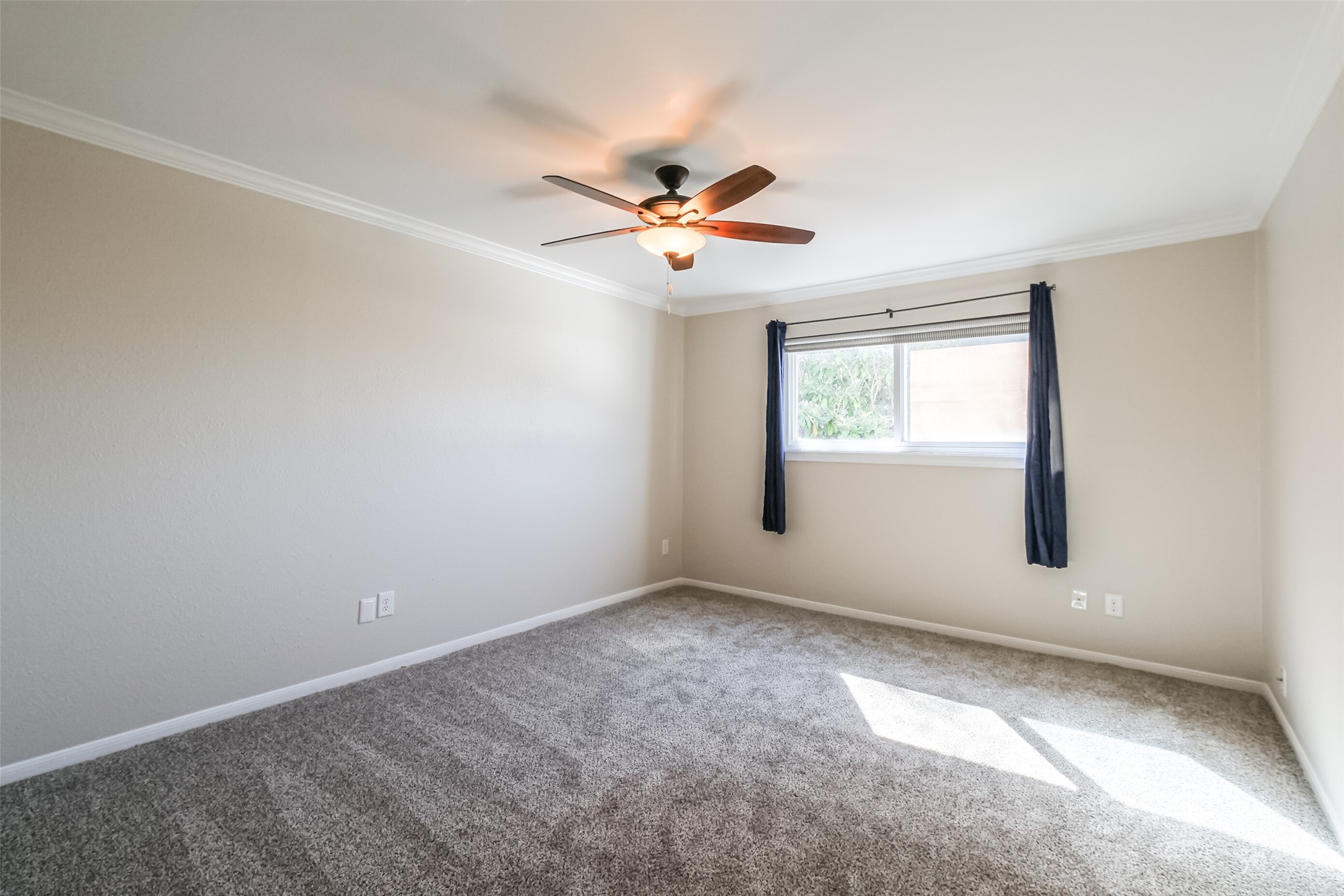 14141 Misty Meadow Lane Property Photo 21