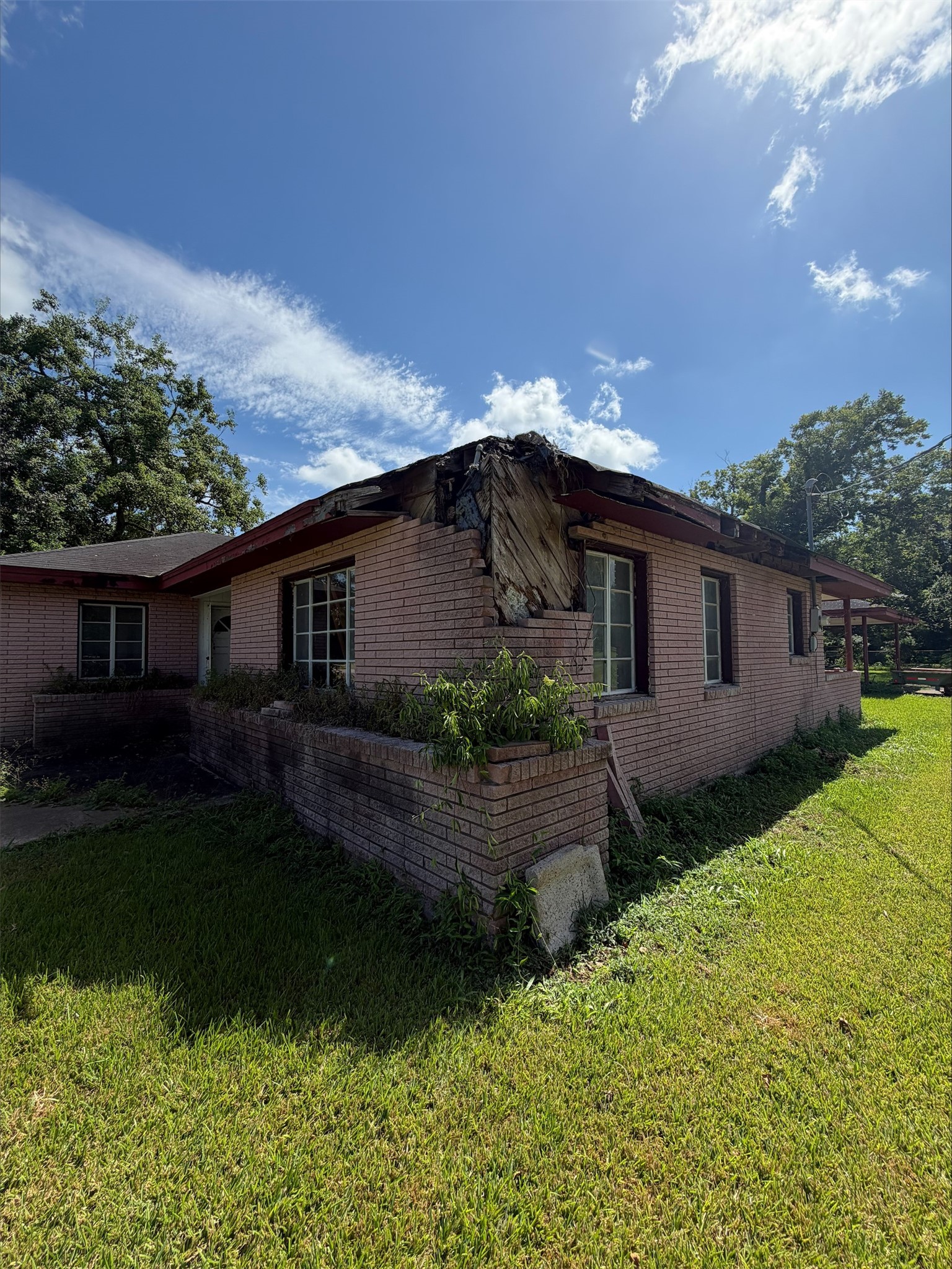 611 Live Oak Street Property Photo 5