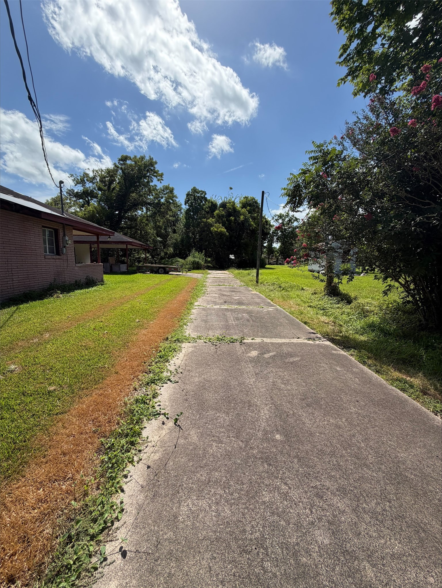 611 Live Oak Street Property Photo 6